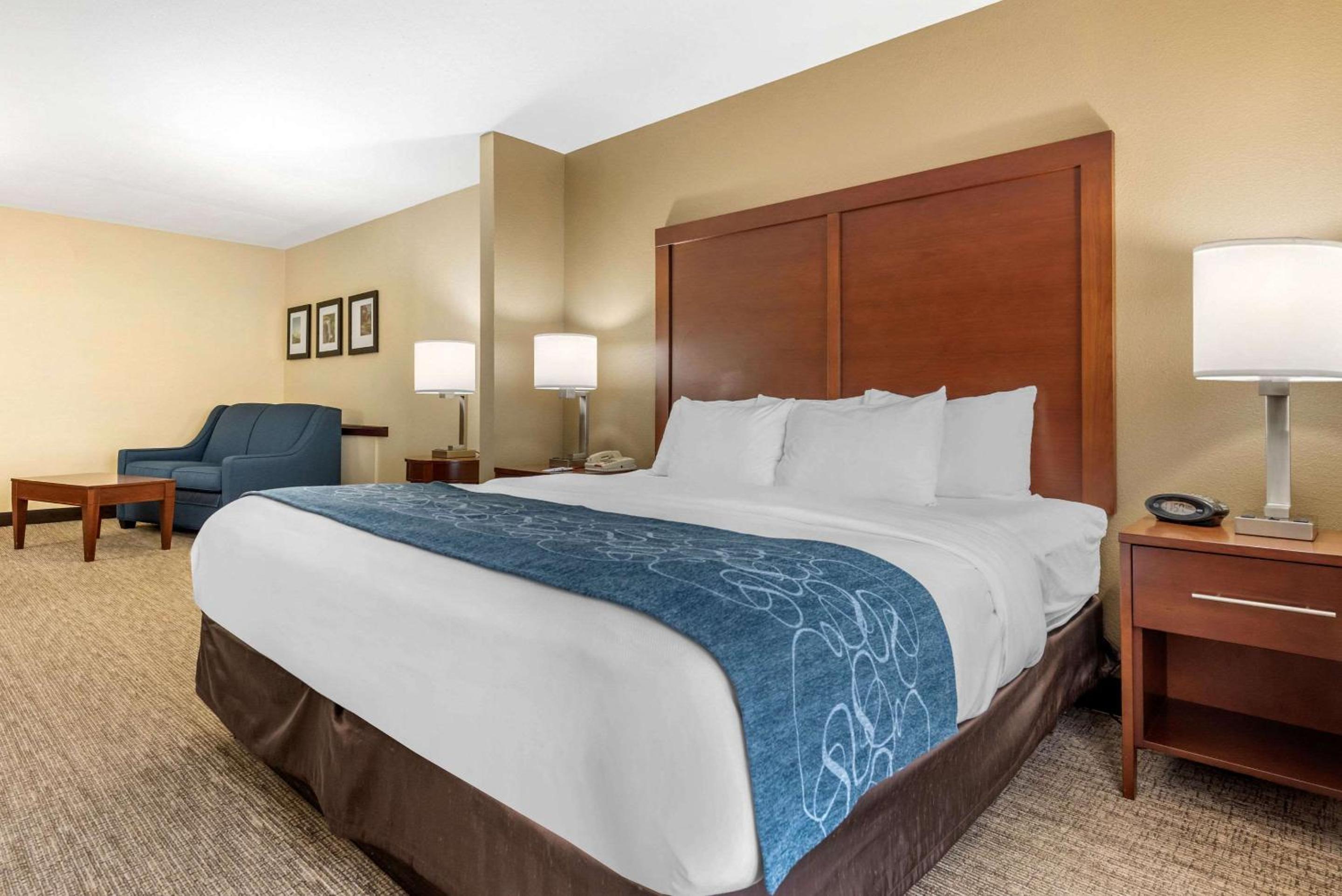 King Suite with Sofa Bed - Non-Smoking - Photo 2
