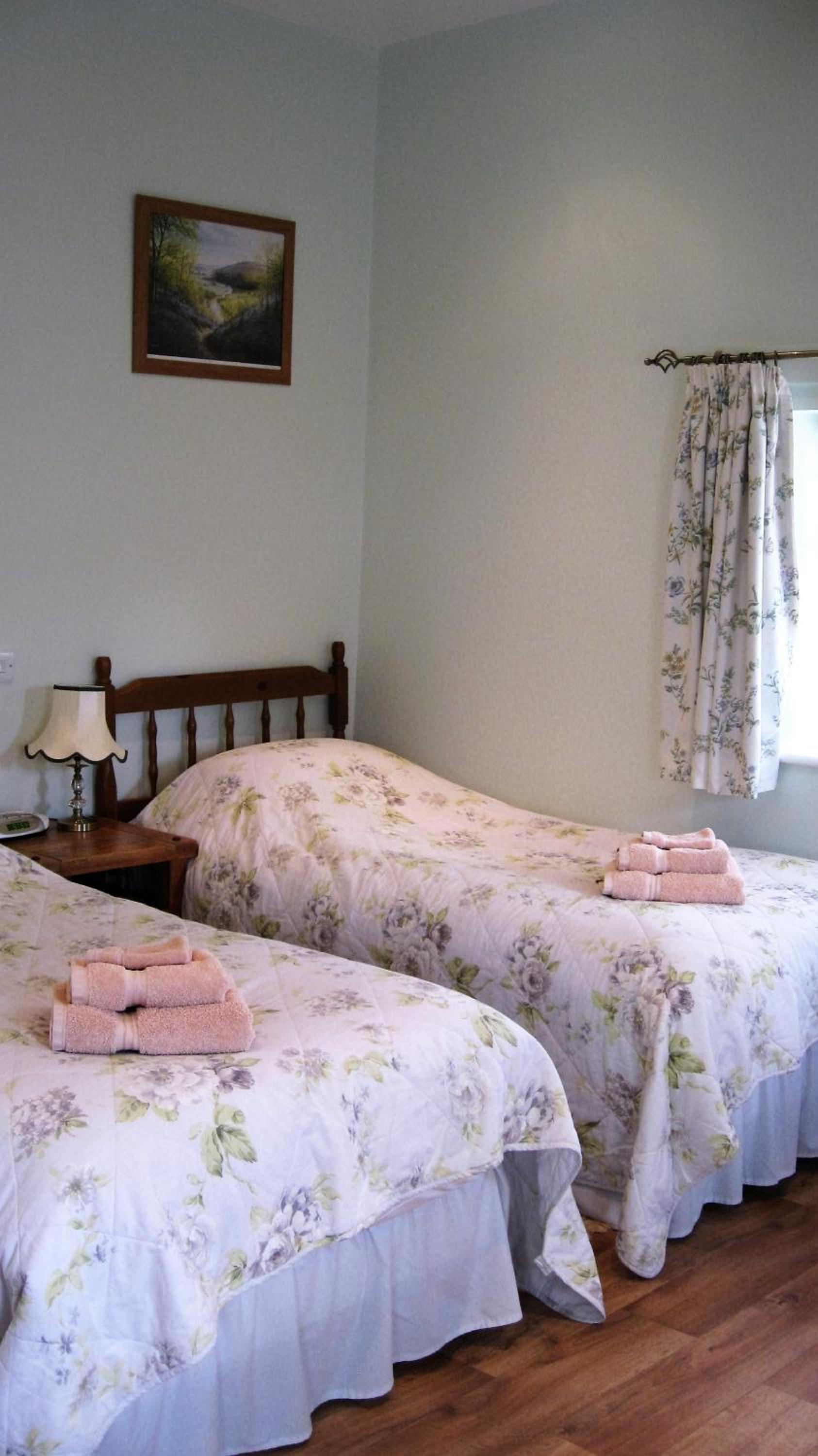 Ground Floor Twin Room