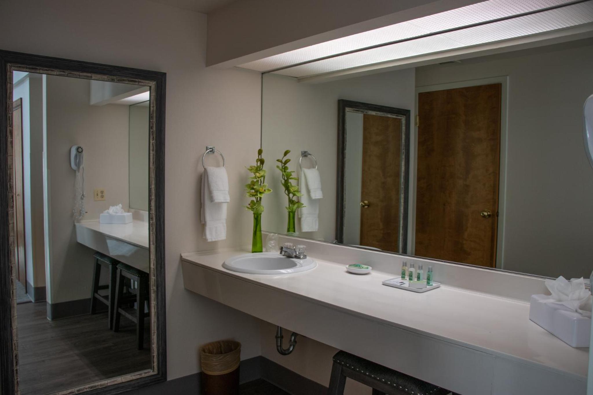 Suite - Photo 2