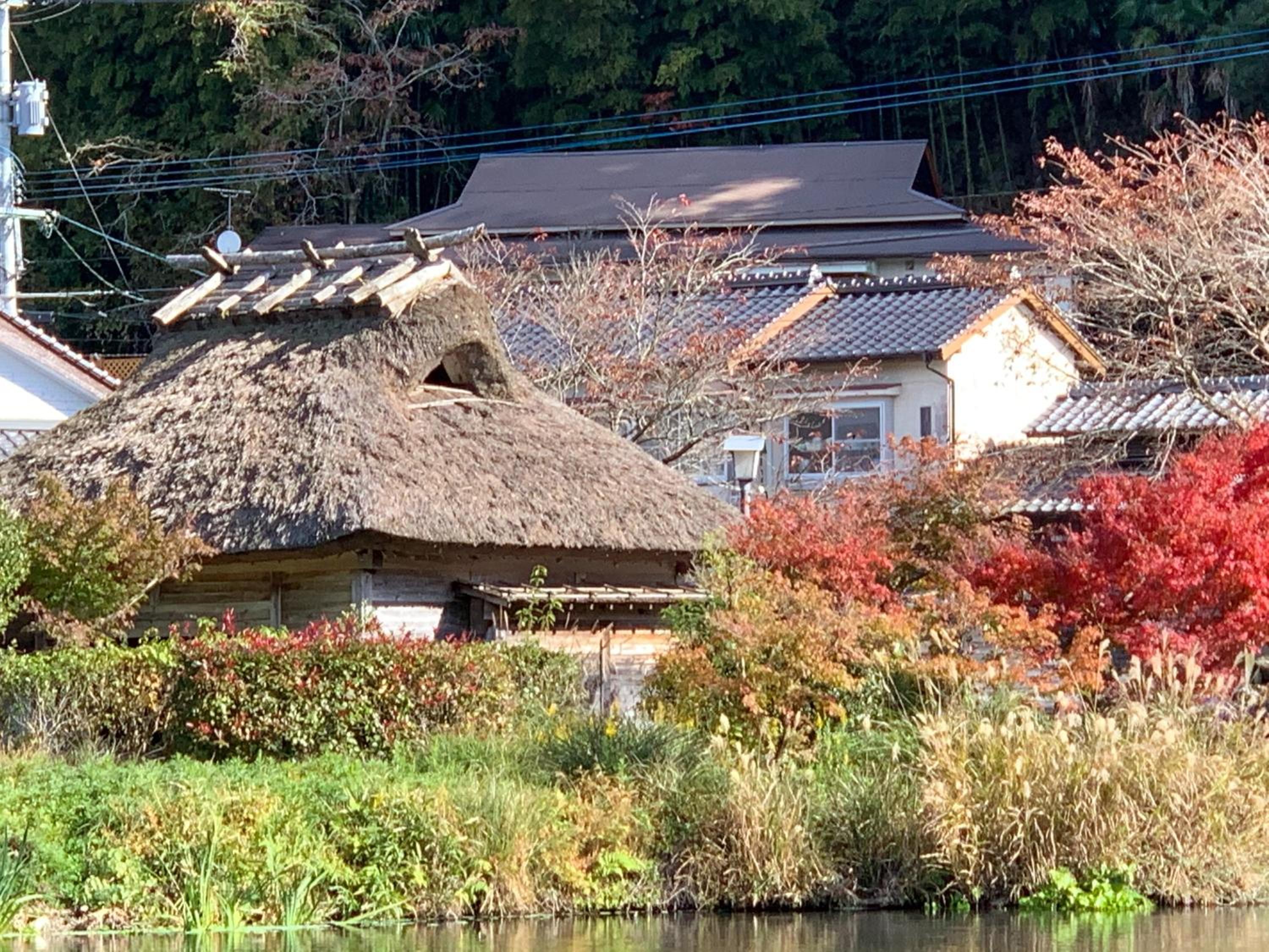 Three-Bedroom House - Photo 19