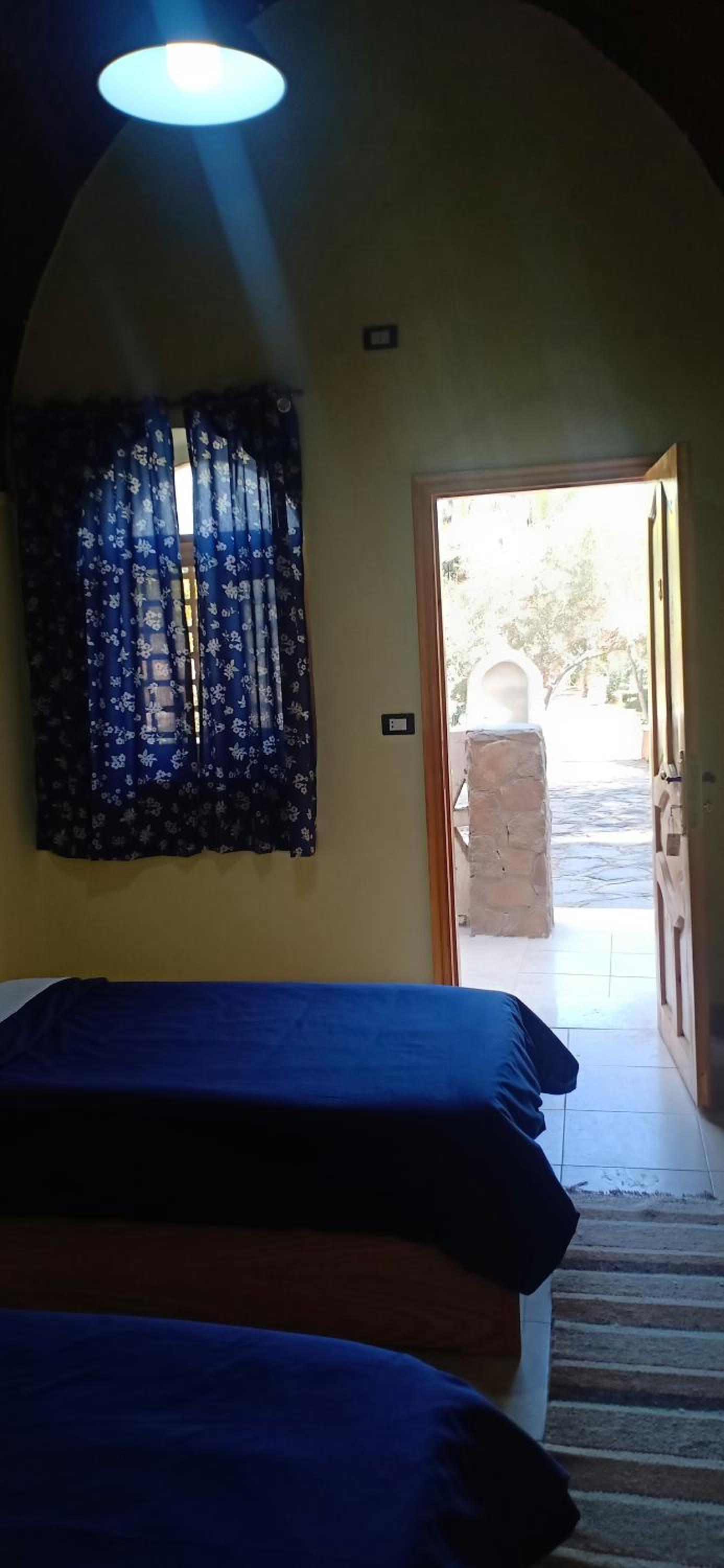 Deluxe Double or Twin Room photo 3