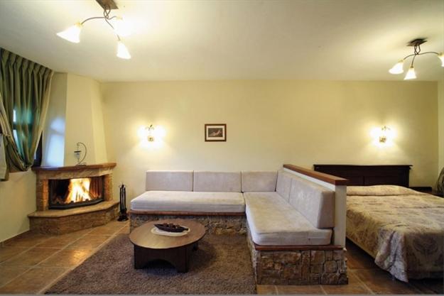 Studio With Fireplace photo 1