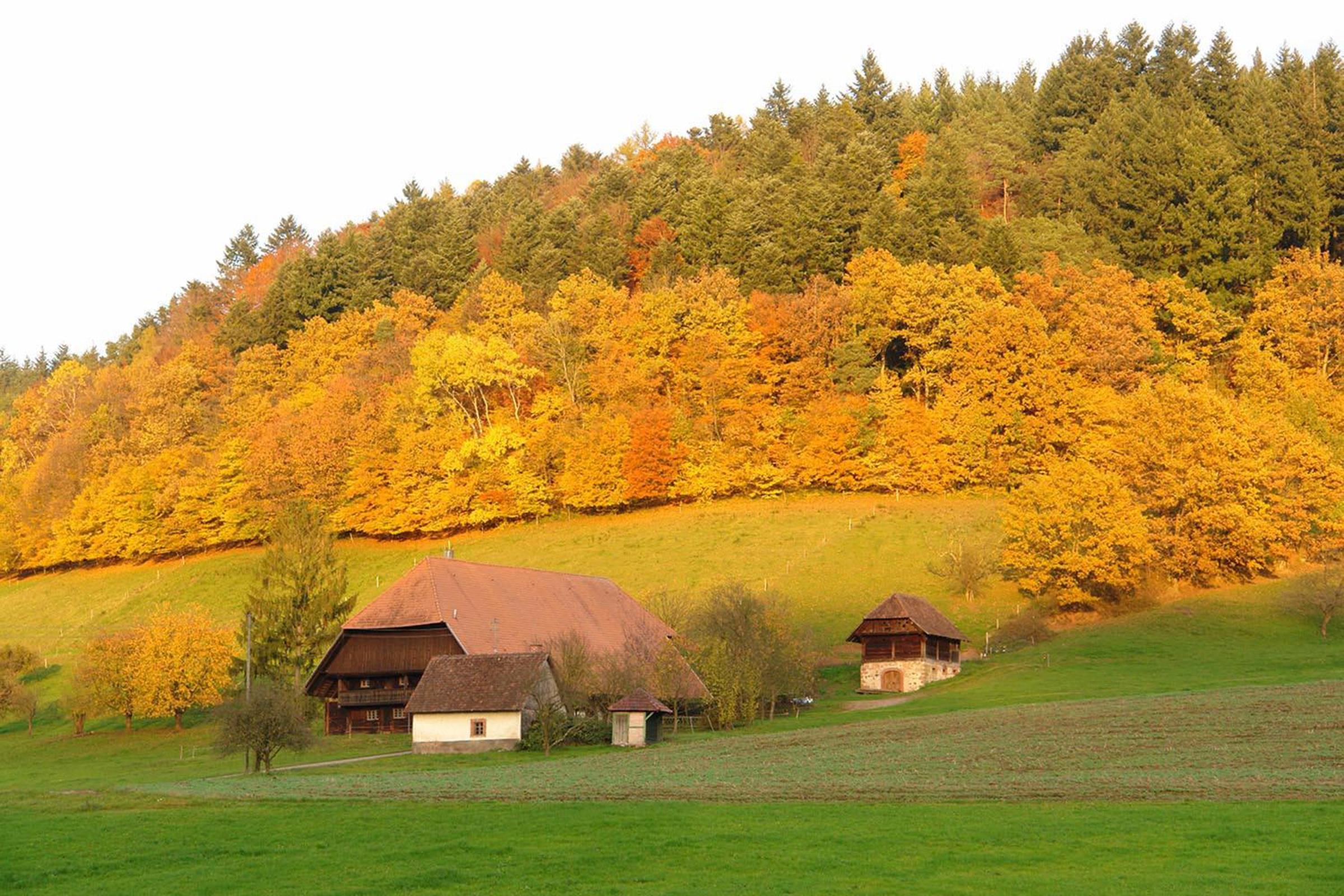 Puppenstübchen photo 2