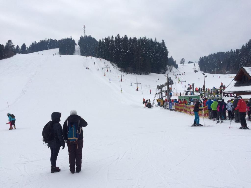 Chalet photo 3