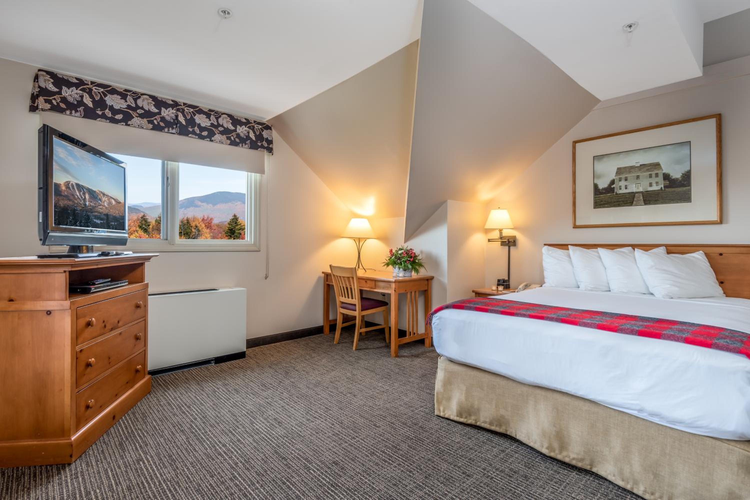 One-Bedroom Suite photo 2