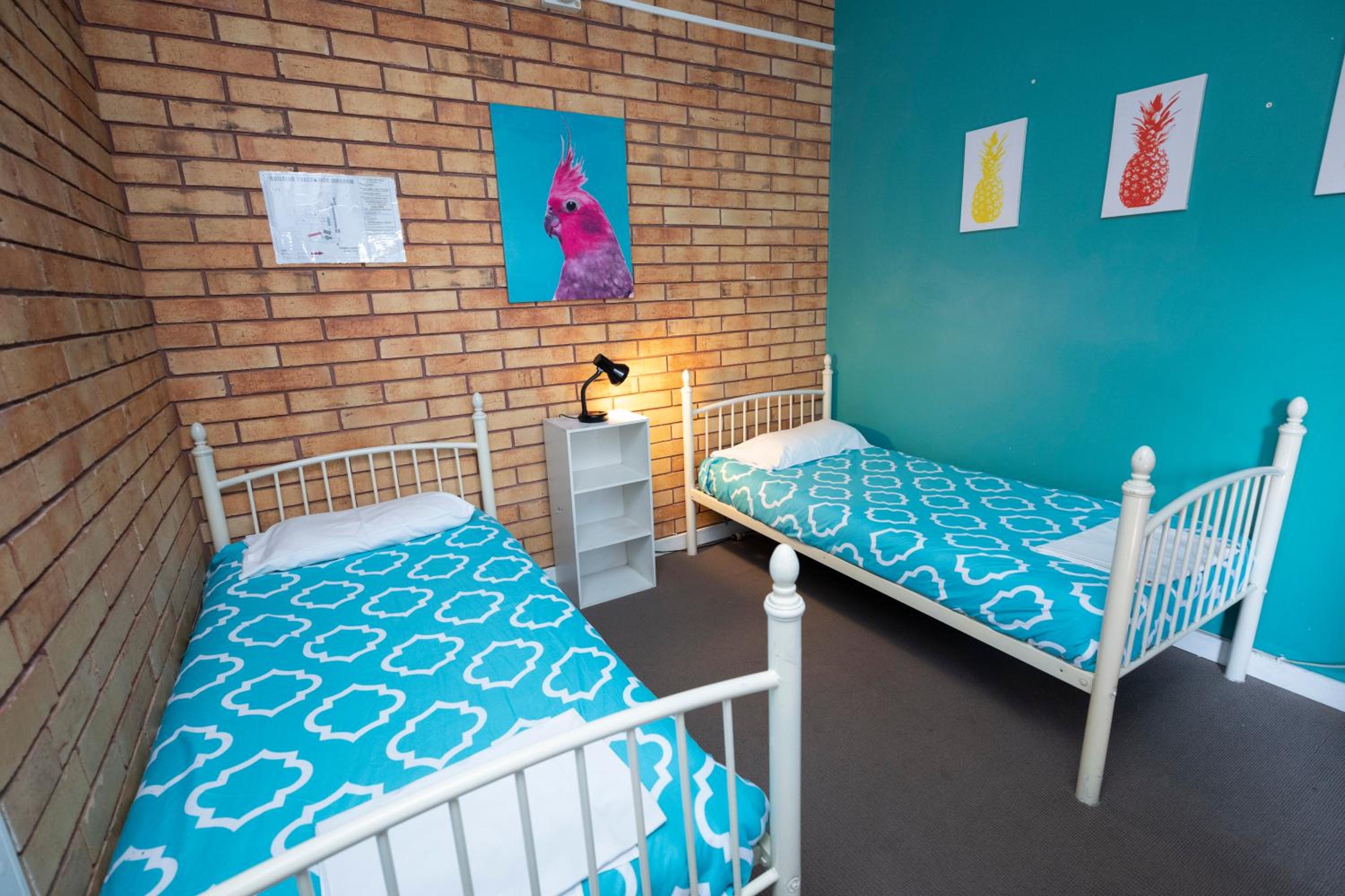 Basic Budget Backpacker Style Room (Twin) photo 1
