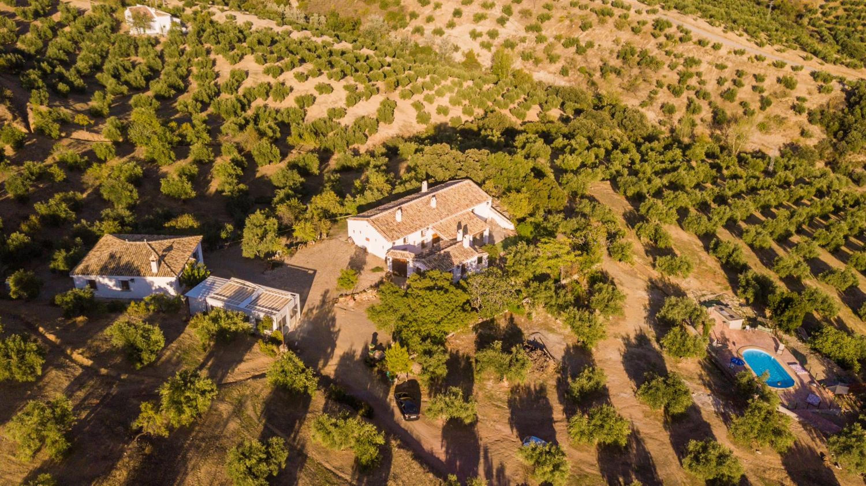 Cortijo Majolero I - Photo 38