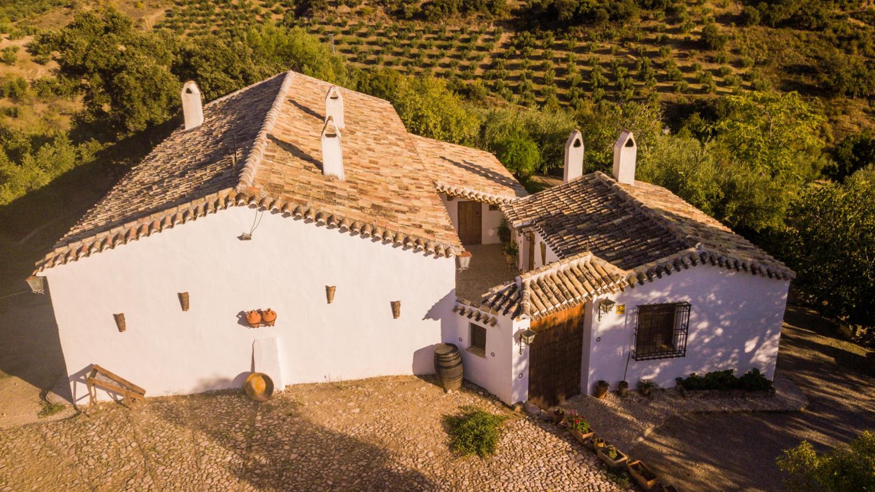 Cortijo Majolero I - Photo 16