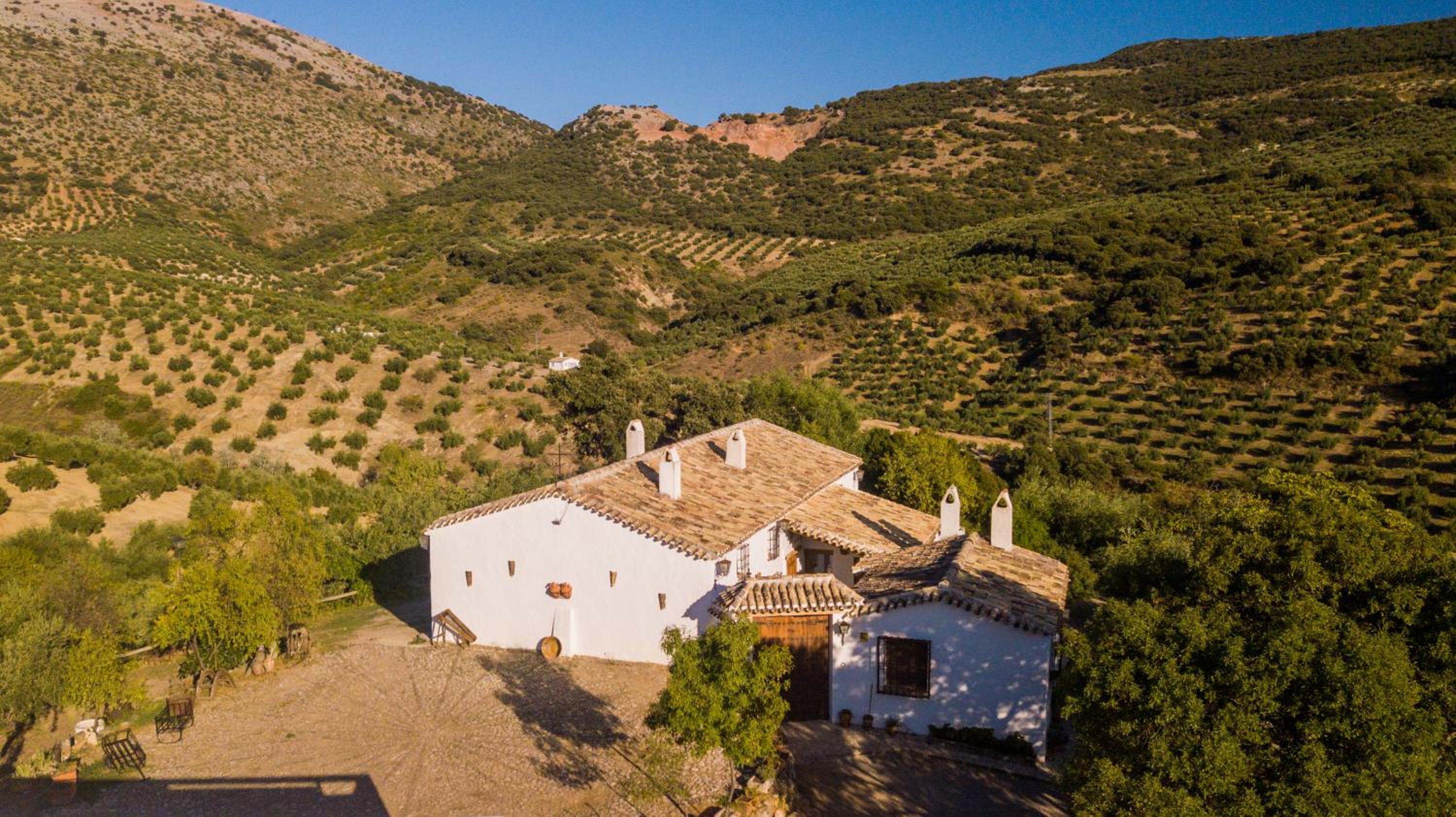 Cortijo Majolero I - Photo 2