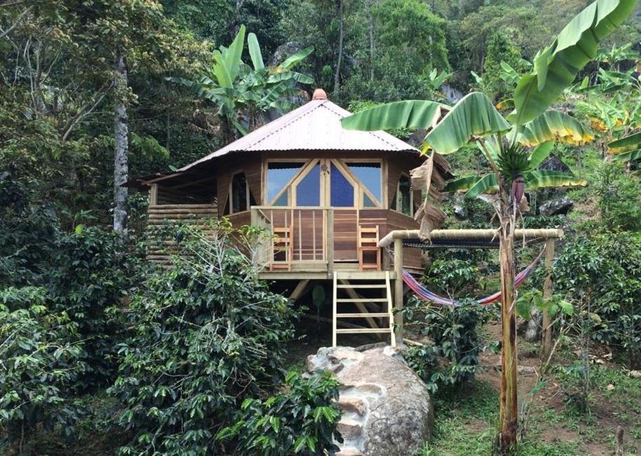 Bungalow photo 2