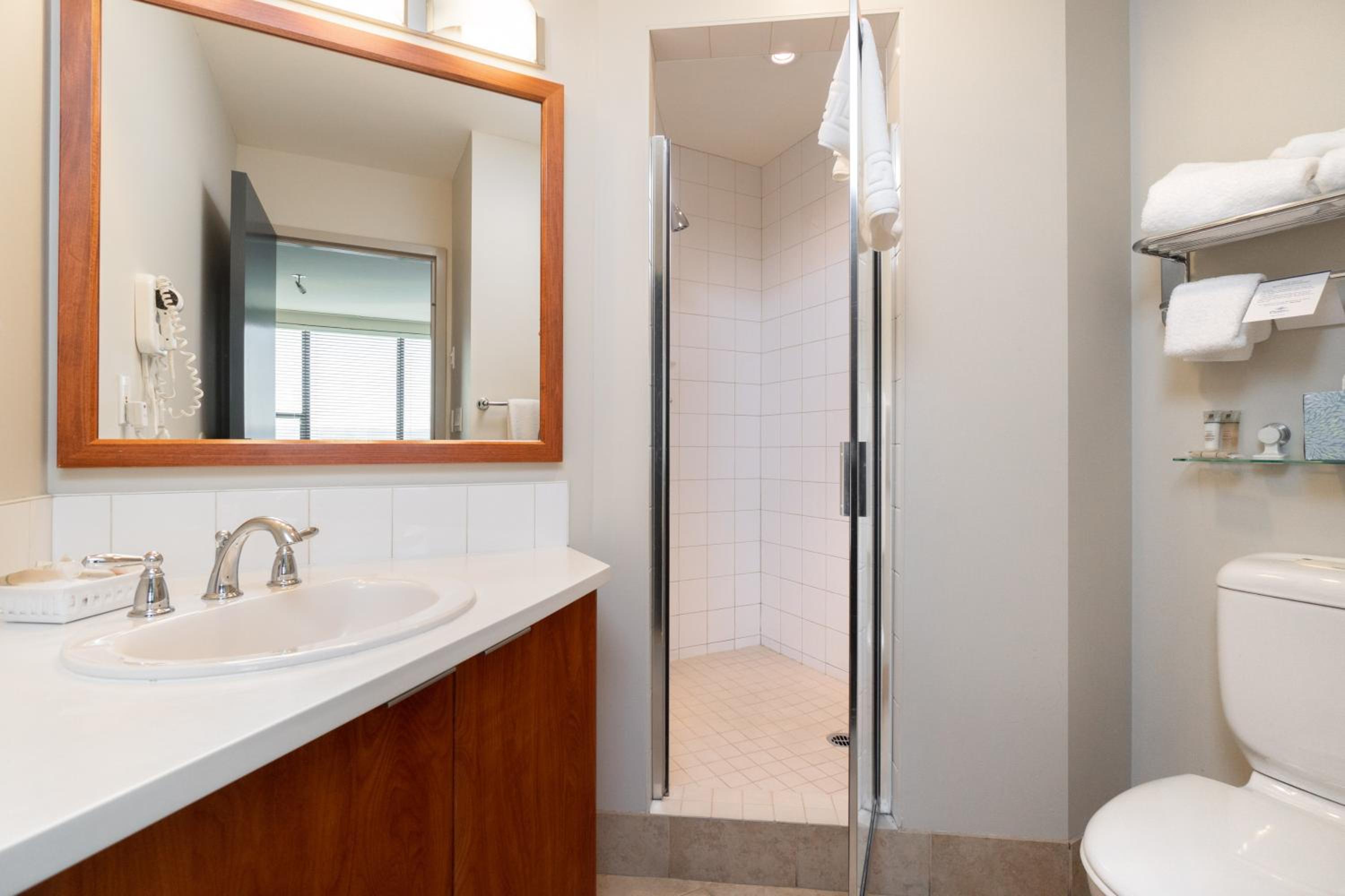One-Bedroom Suite with Spa Bath - Photo 10