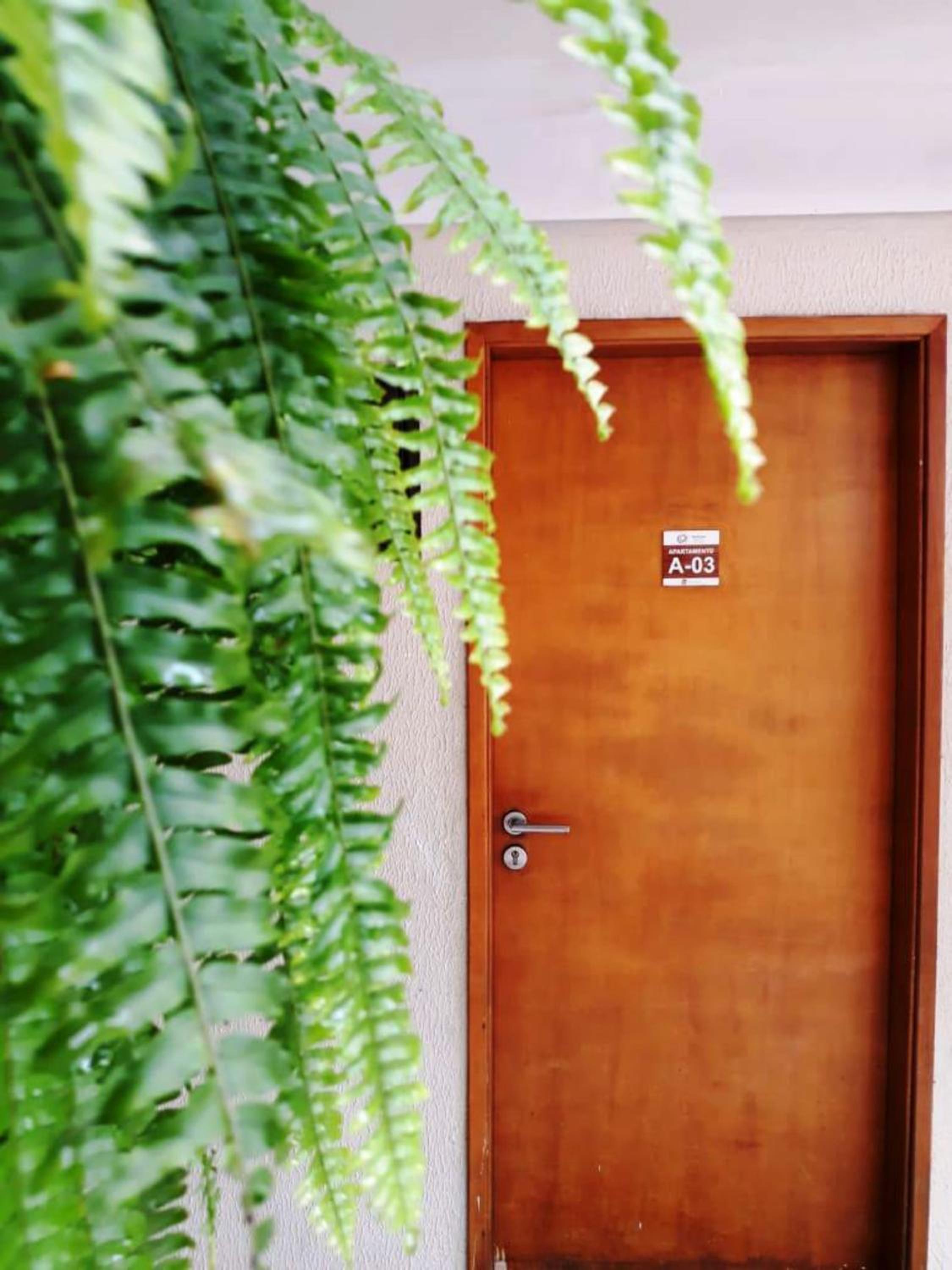 Apartment - Ground Floor - Photo 34