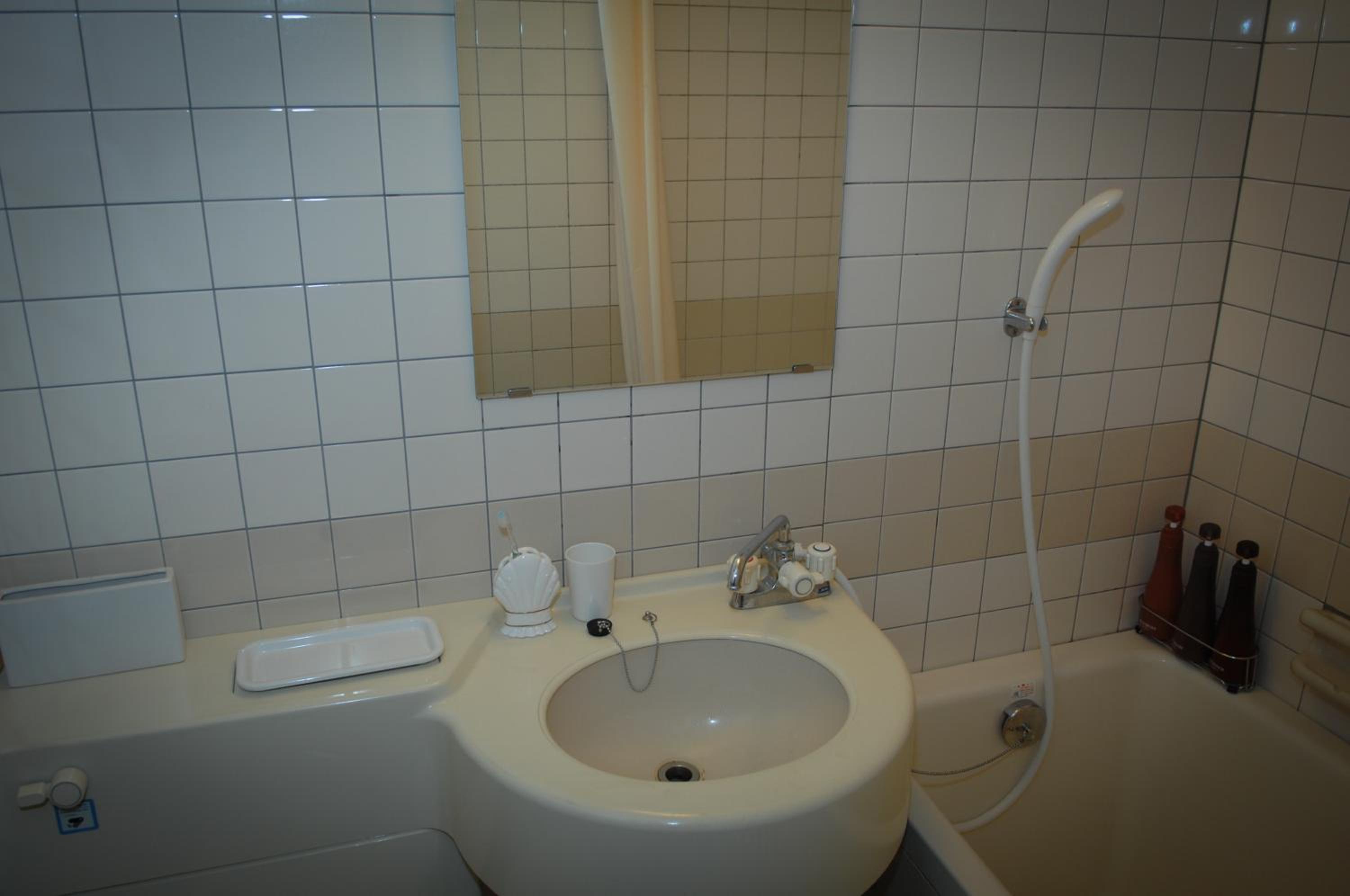 Superior Double or Twin Room with Mountain View