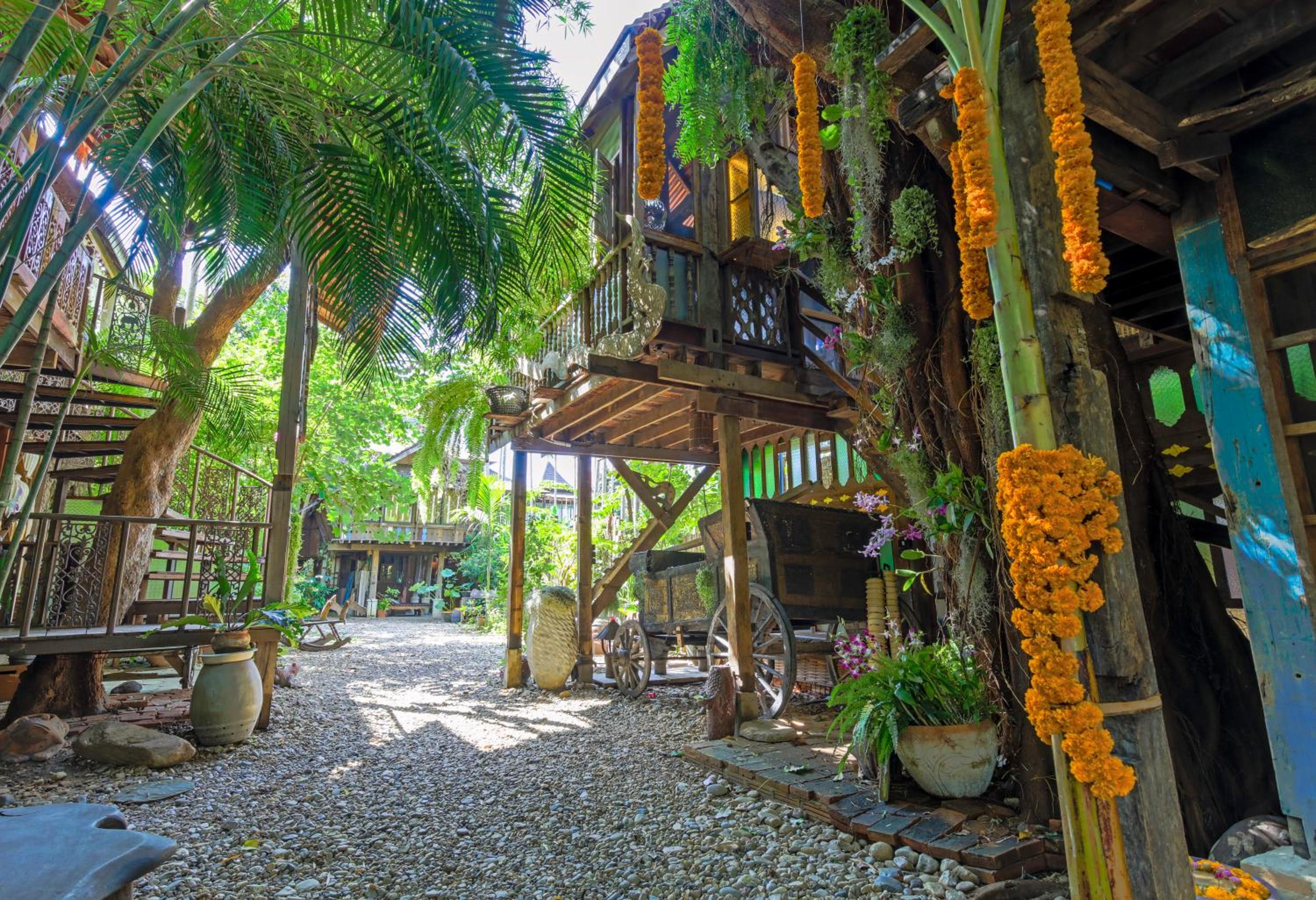 Tree House In The City Plus Lanna Herbal Steam - Photo 18