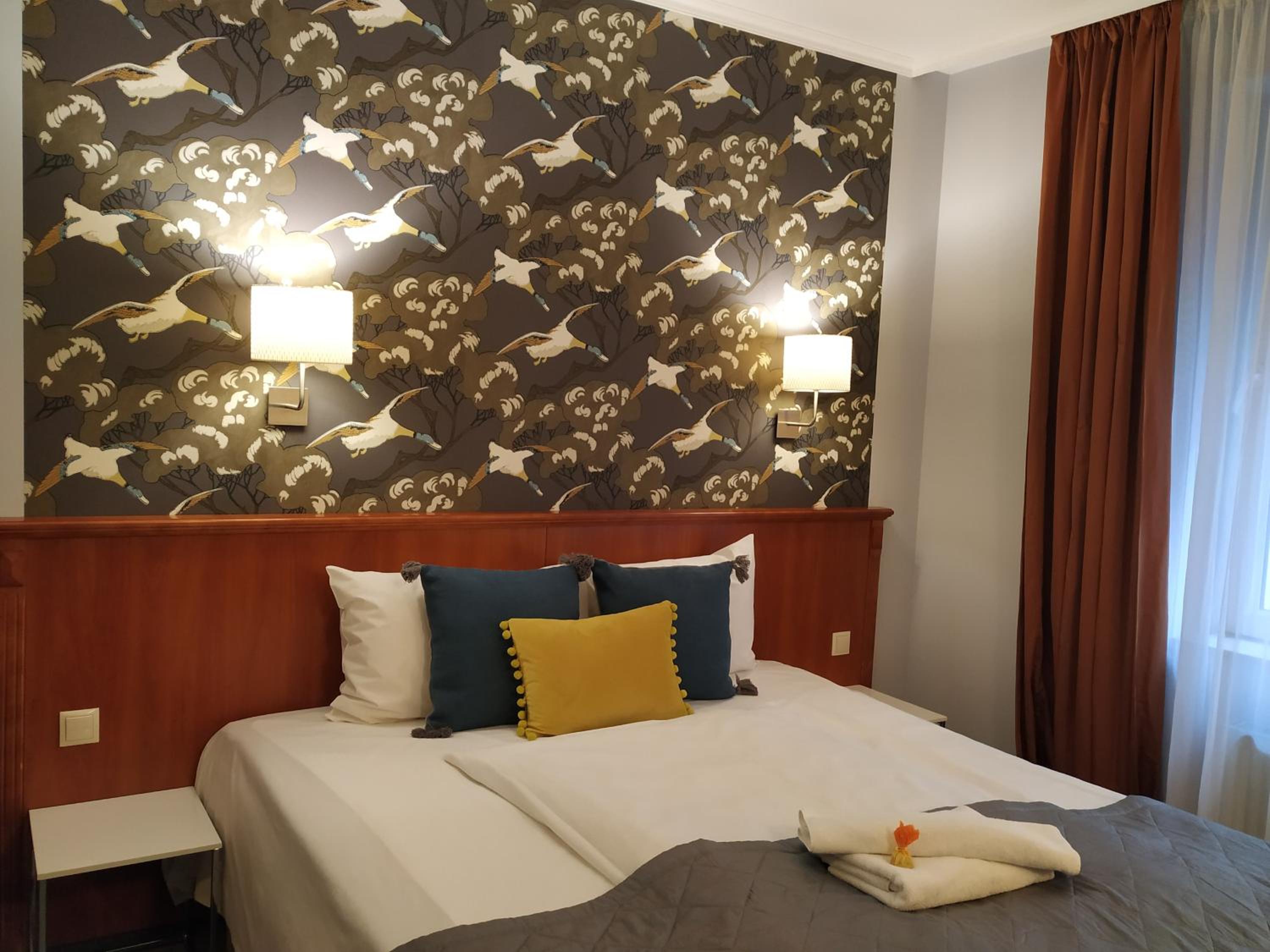 Superior Single Room photo 1
