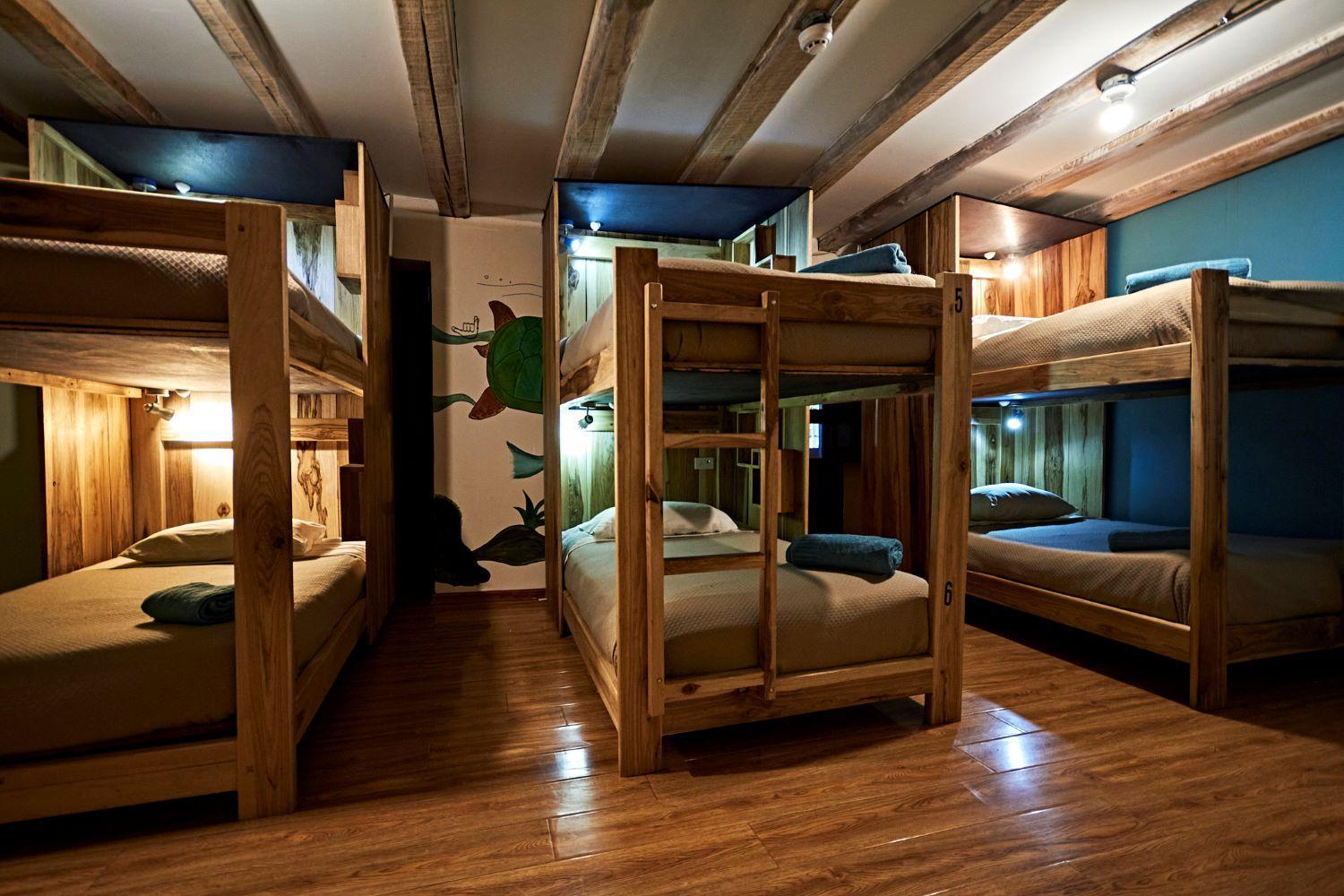 Bunk Bed in Female Dormitory Room