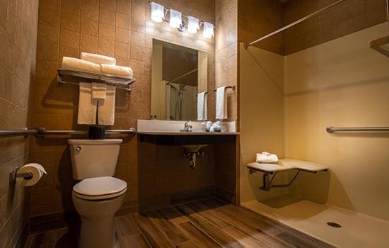 King Room with Roll-In Shower - Disability Access