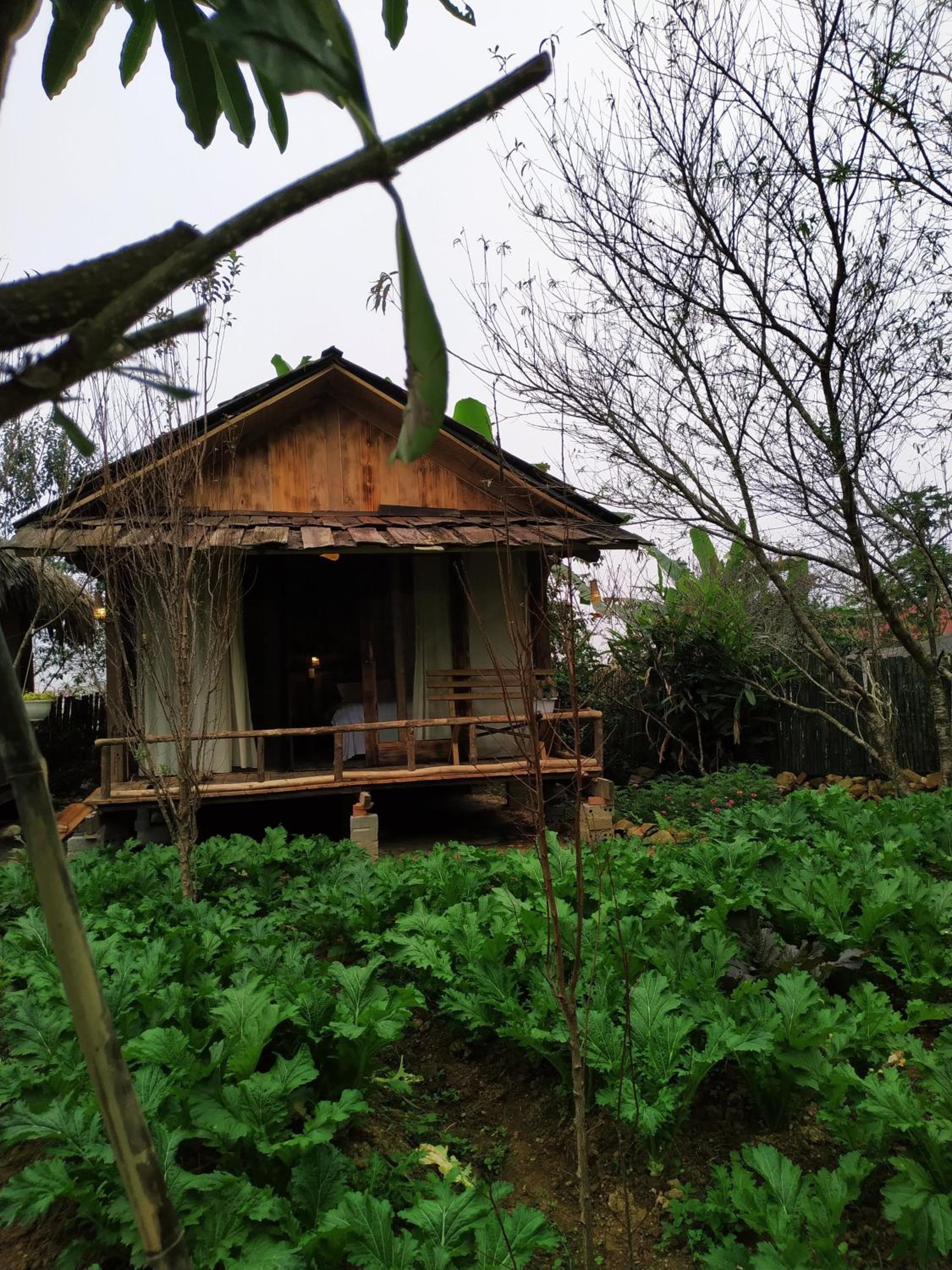 Bungalow with Patio photo 2
