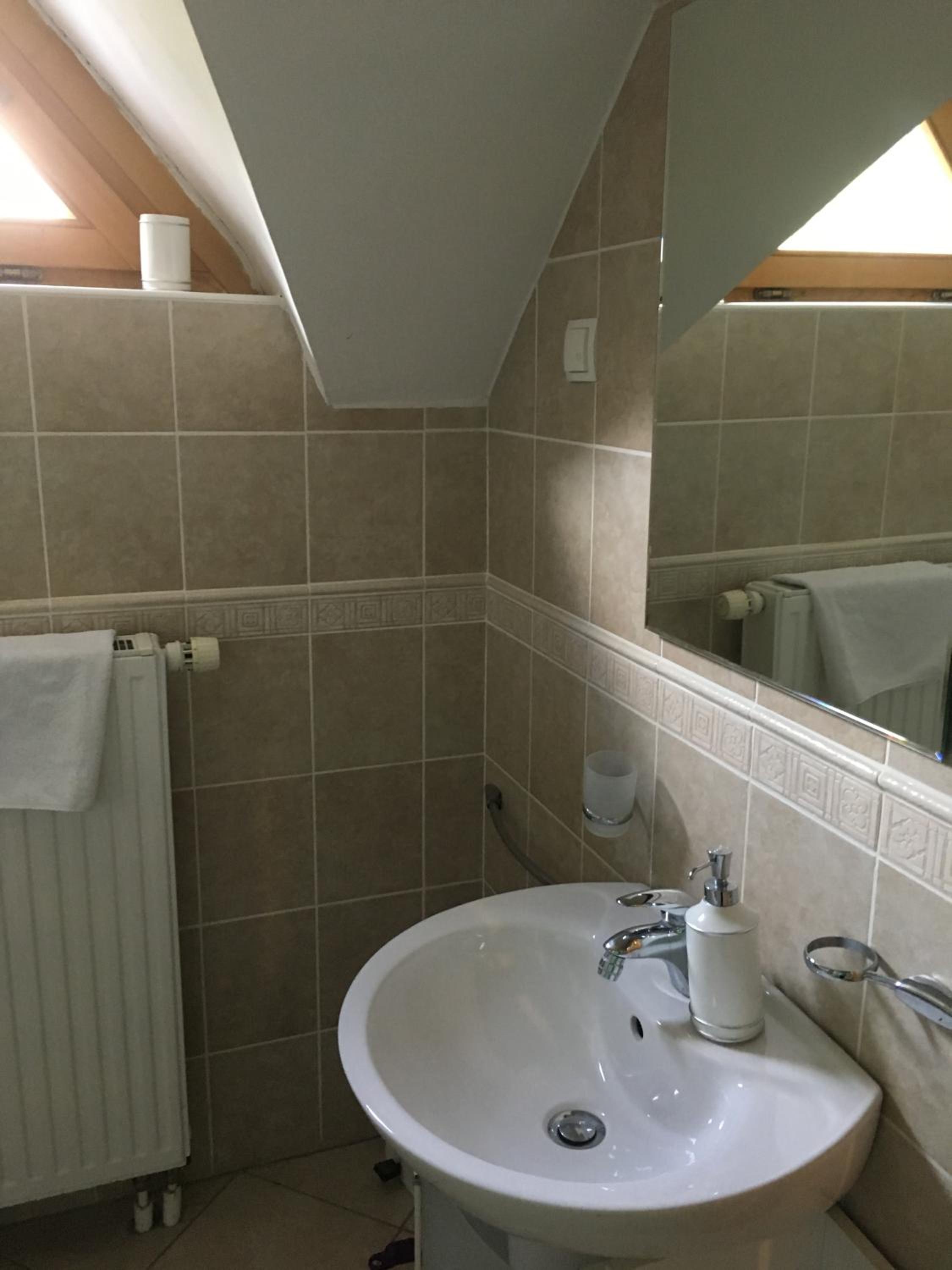 Large One-Bedroom Apartment - Attic - Photo 18