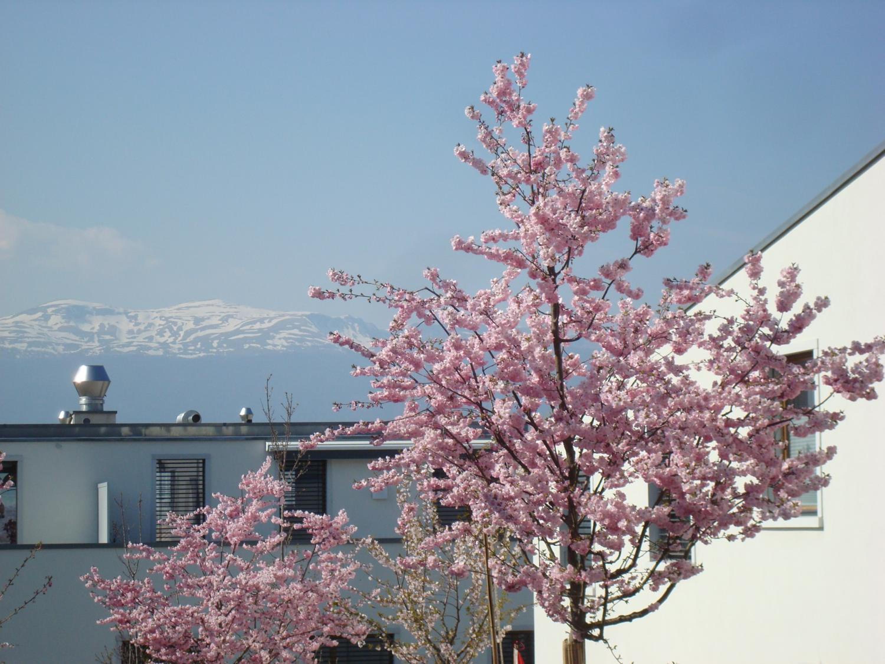 Double Room with Mountain View photo 3