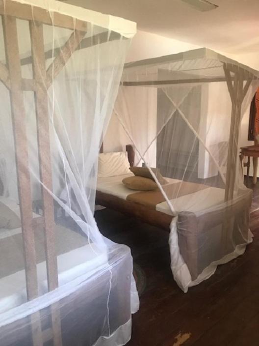 Triple Room with View