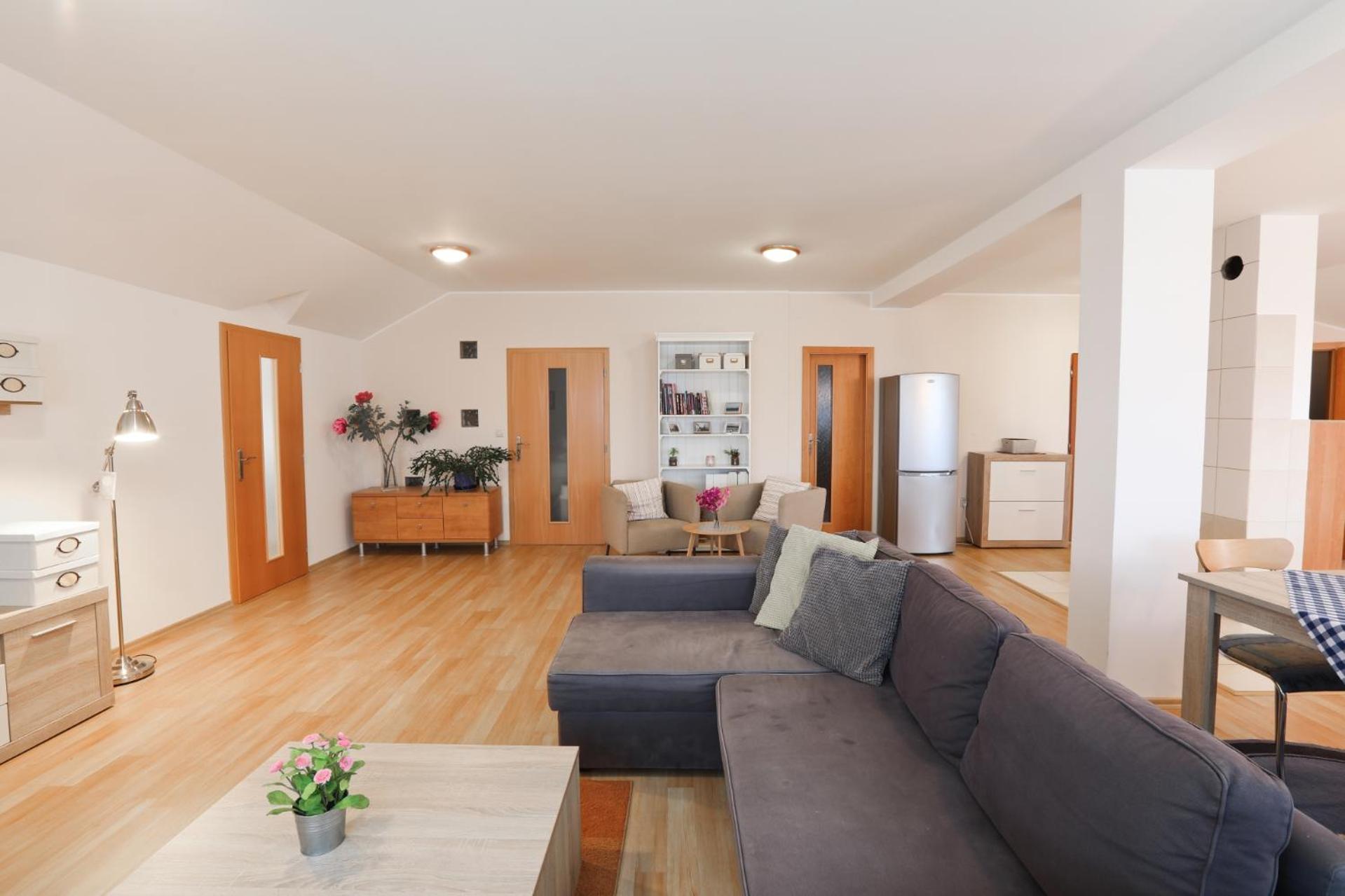Comfort Two-Bedroom Apartment photo 2