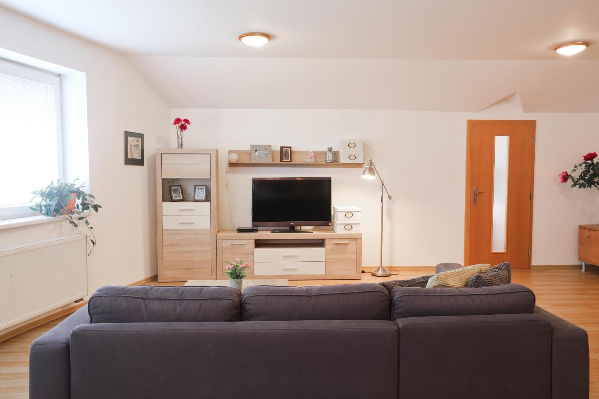 Comfort Two-Bedroom Apartment photo 3