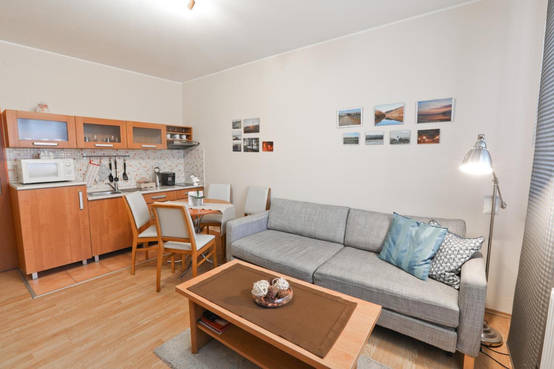 Comfort Apartment with Balcony and Lake View photo 3
