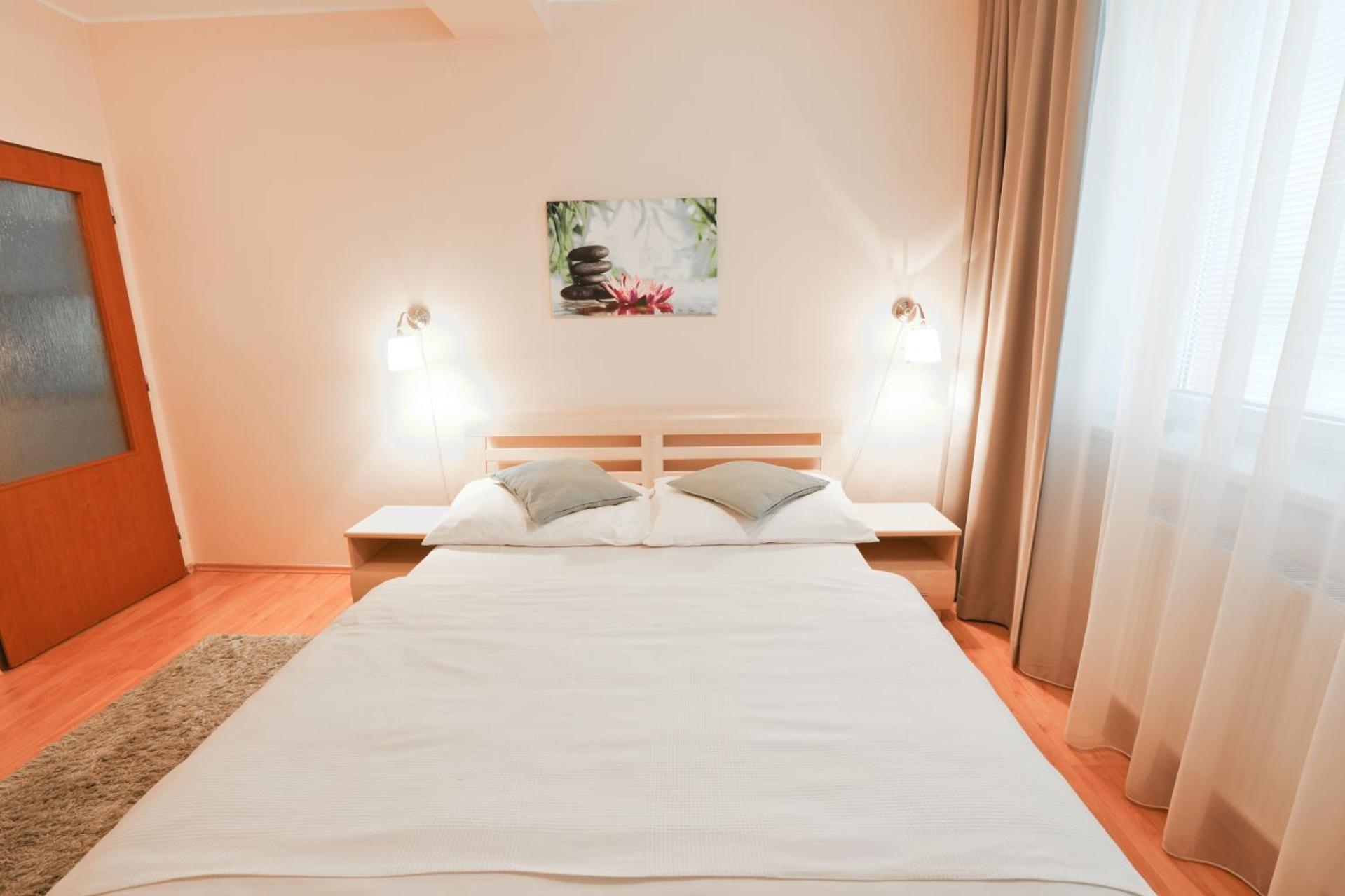 Comfort One-Bedroom Apartment with Balcony and City View photo 2