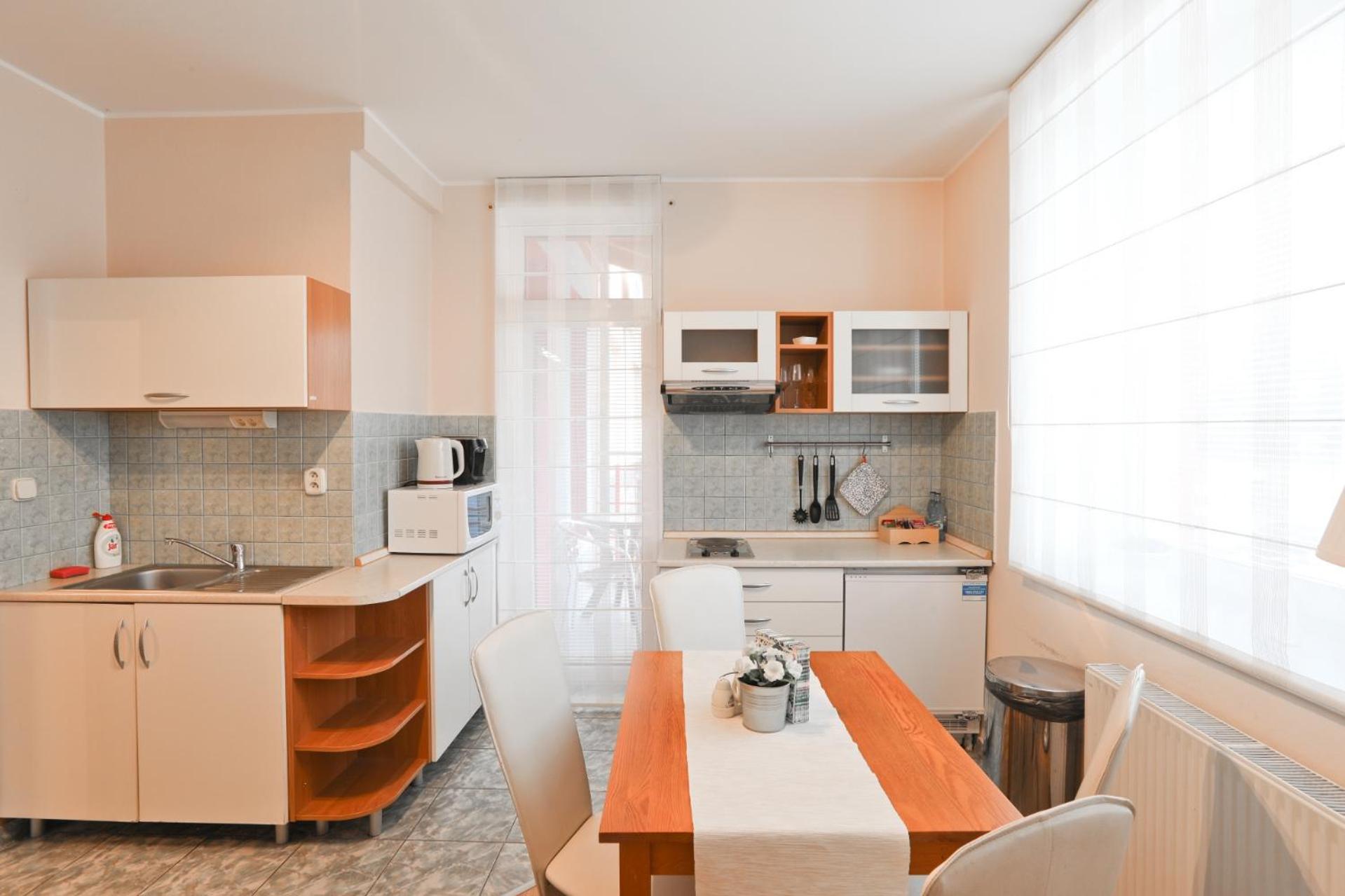 Comfort One-Bedroom Apartment with Balcony and City View photo 1