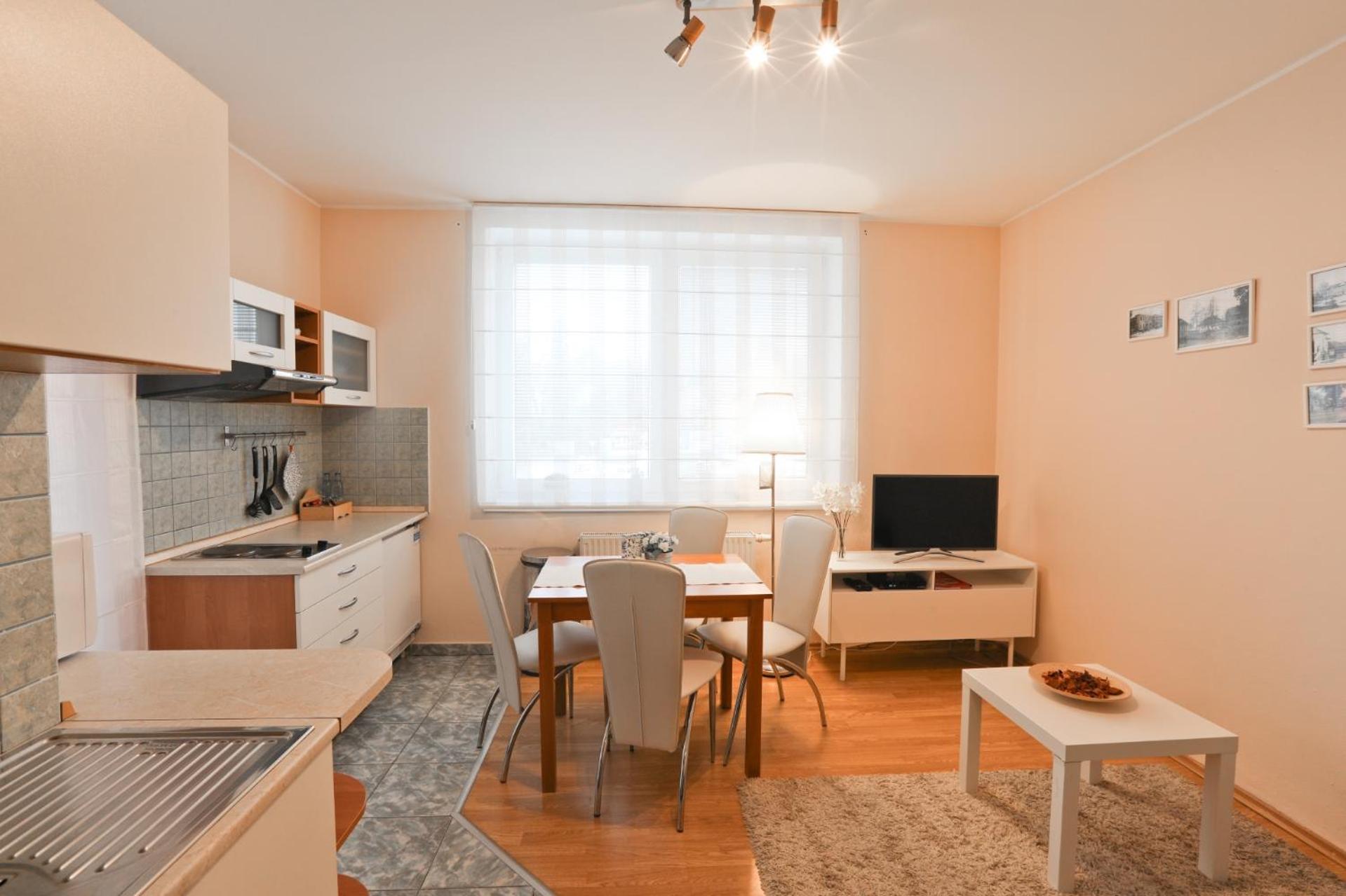 Comfort One-Bedroom Apartment with Balcony and City View photo 3