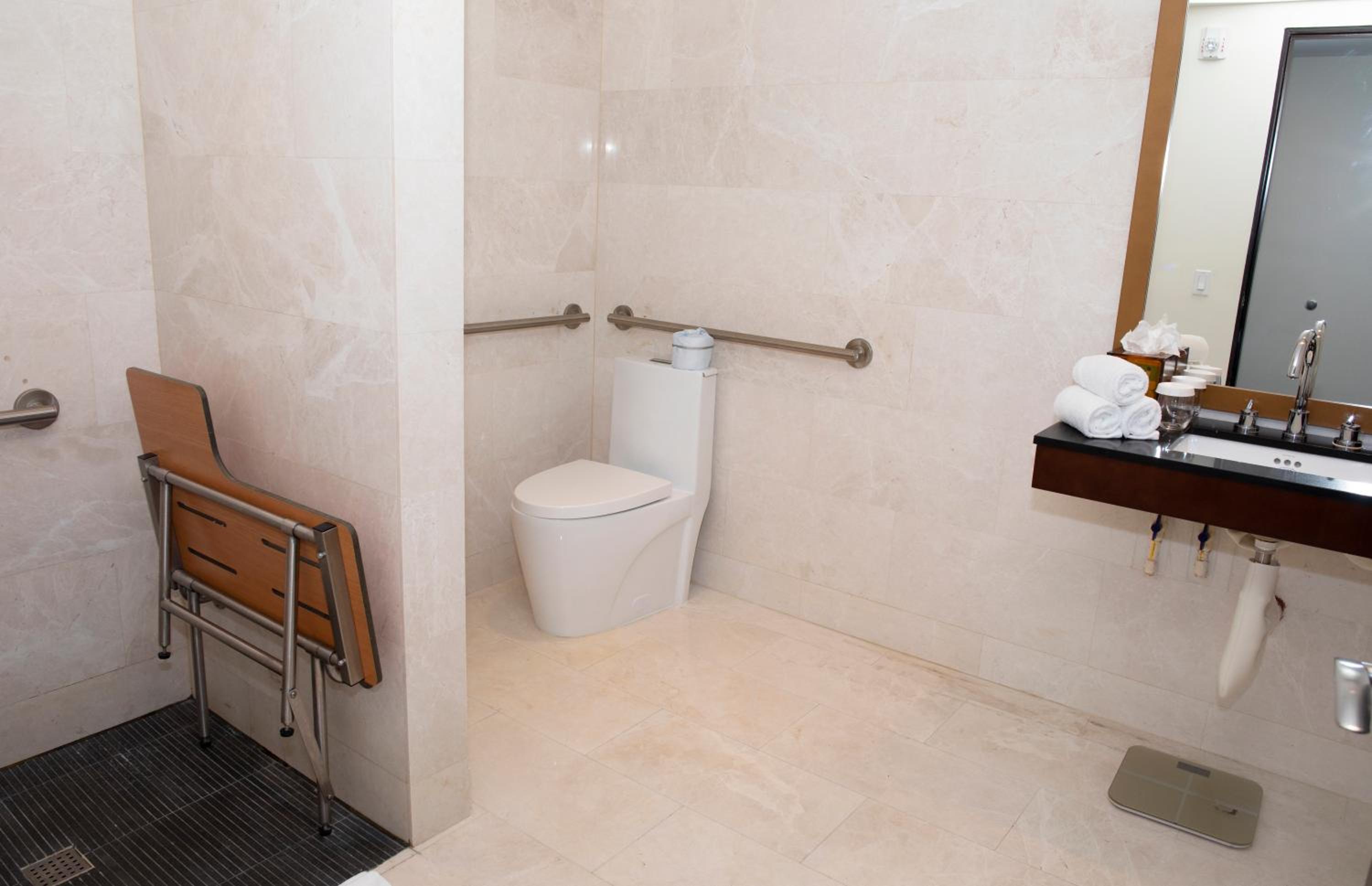 Premium King Accessible photo 3