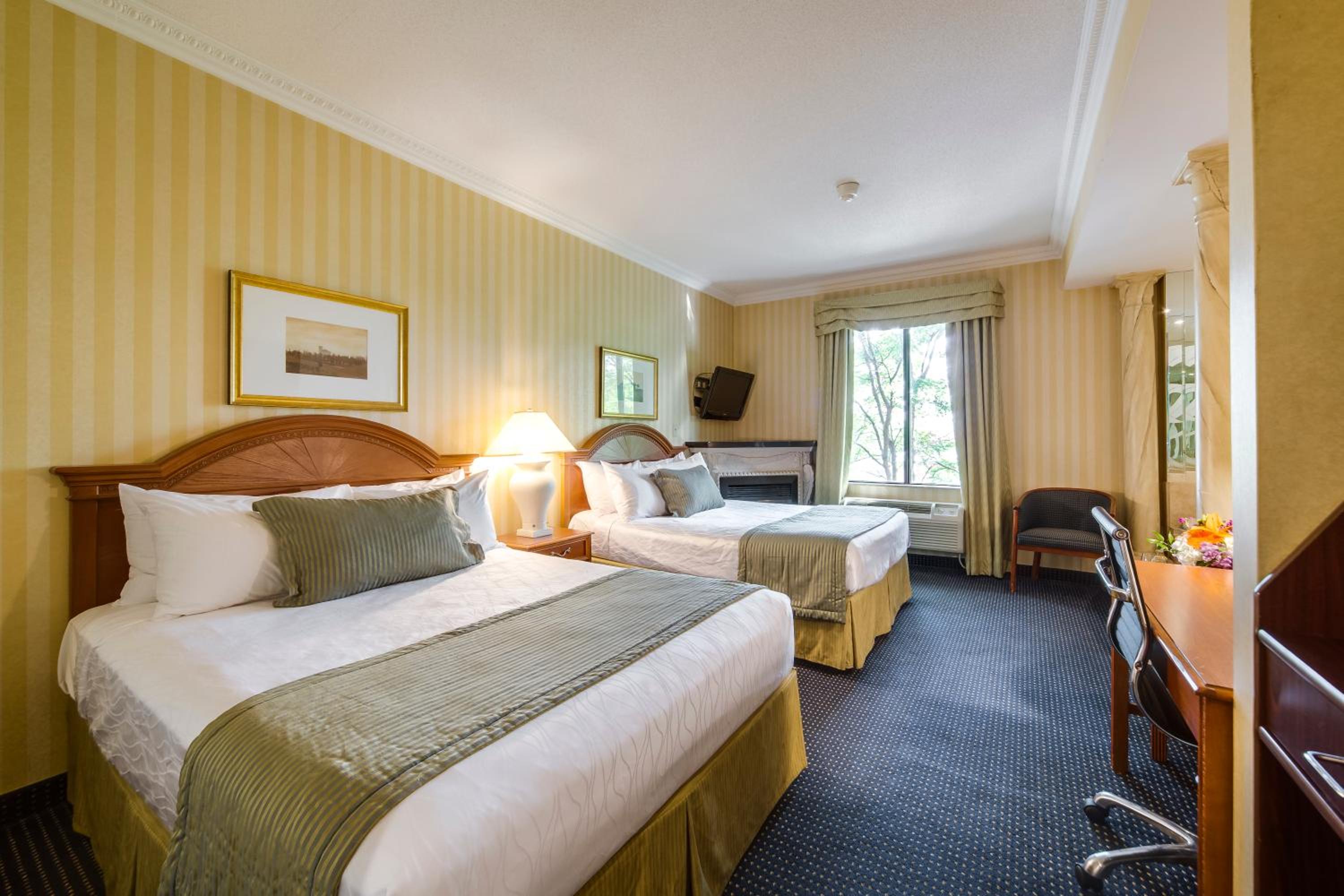 Queen Suite photo 3
