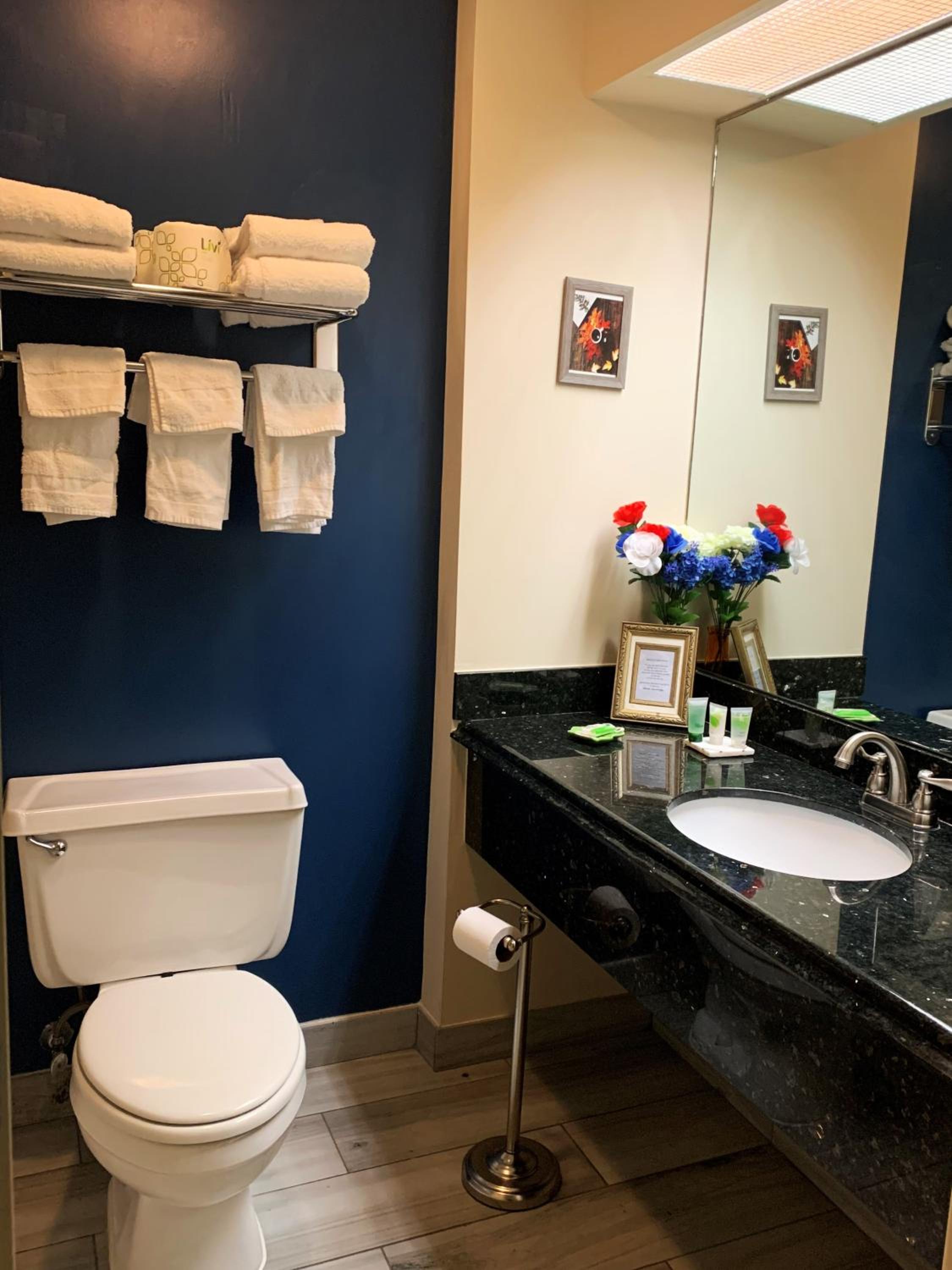 King Room with Spa Bath photo 2