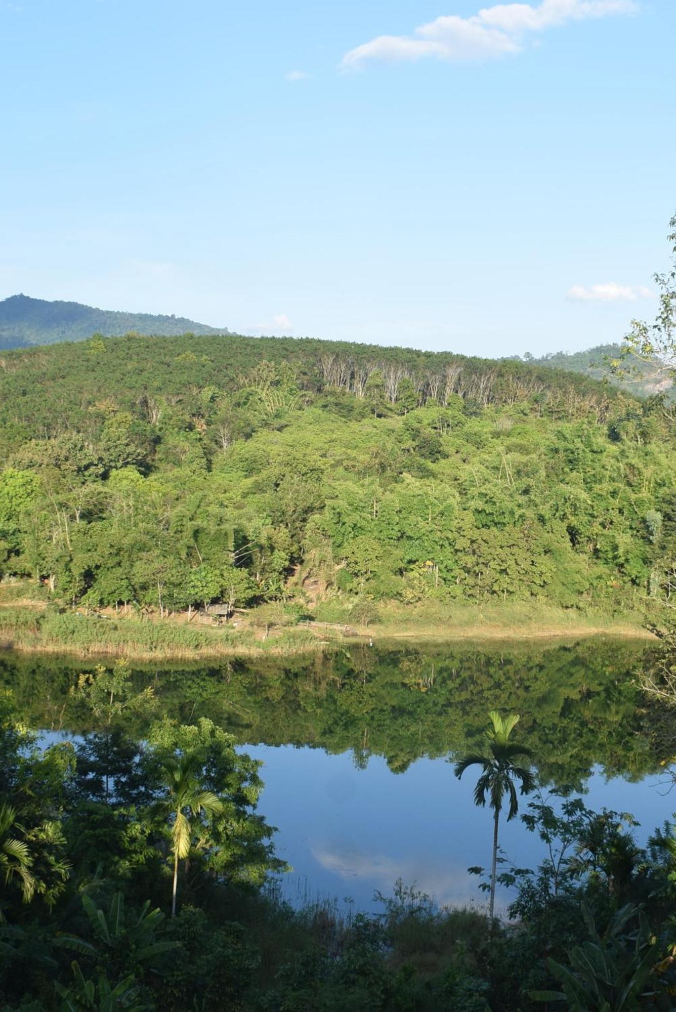 Double Room with Lake View photo 2