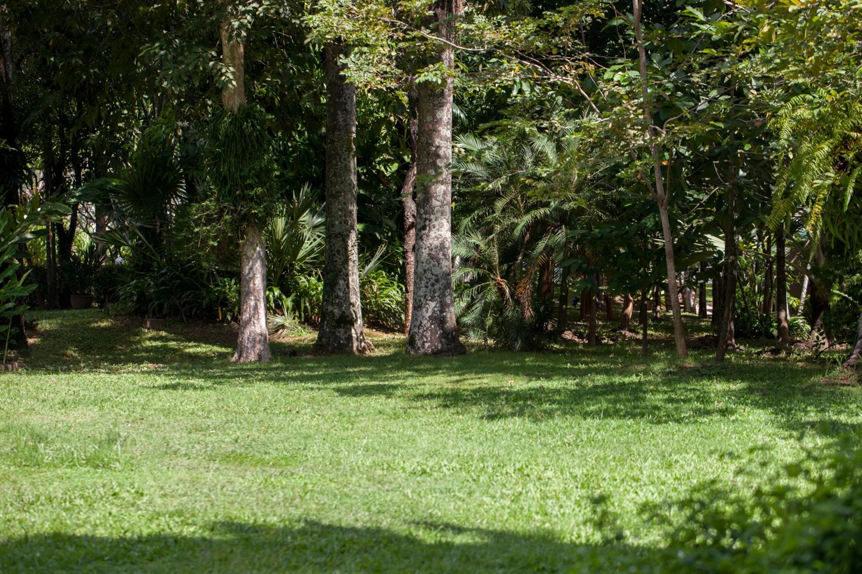 Superior Garden view - Breakfast - Photo 19