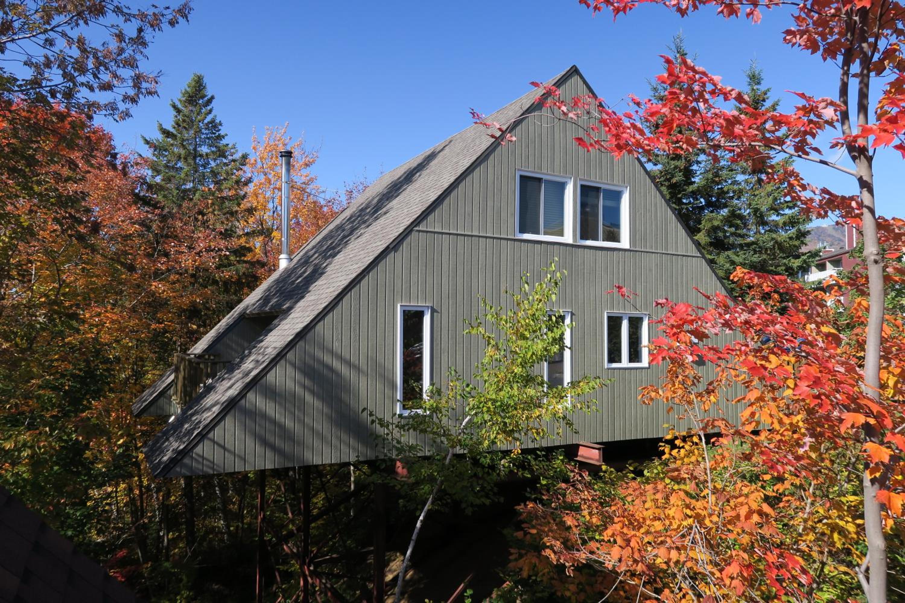 Three-Bedroom Chalet photo 2
