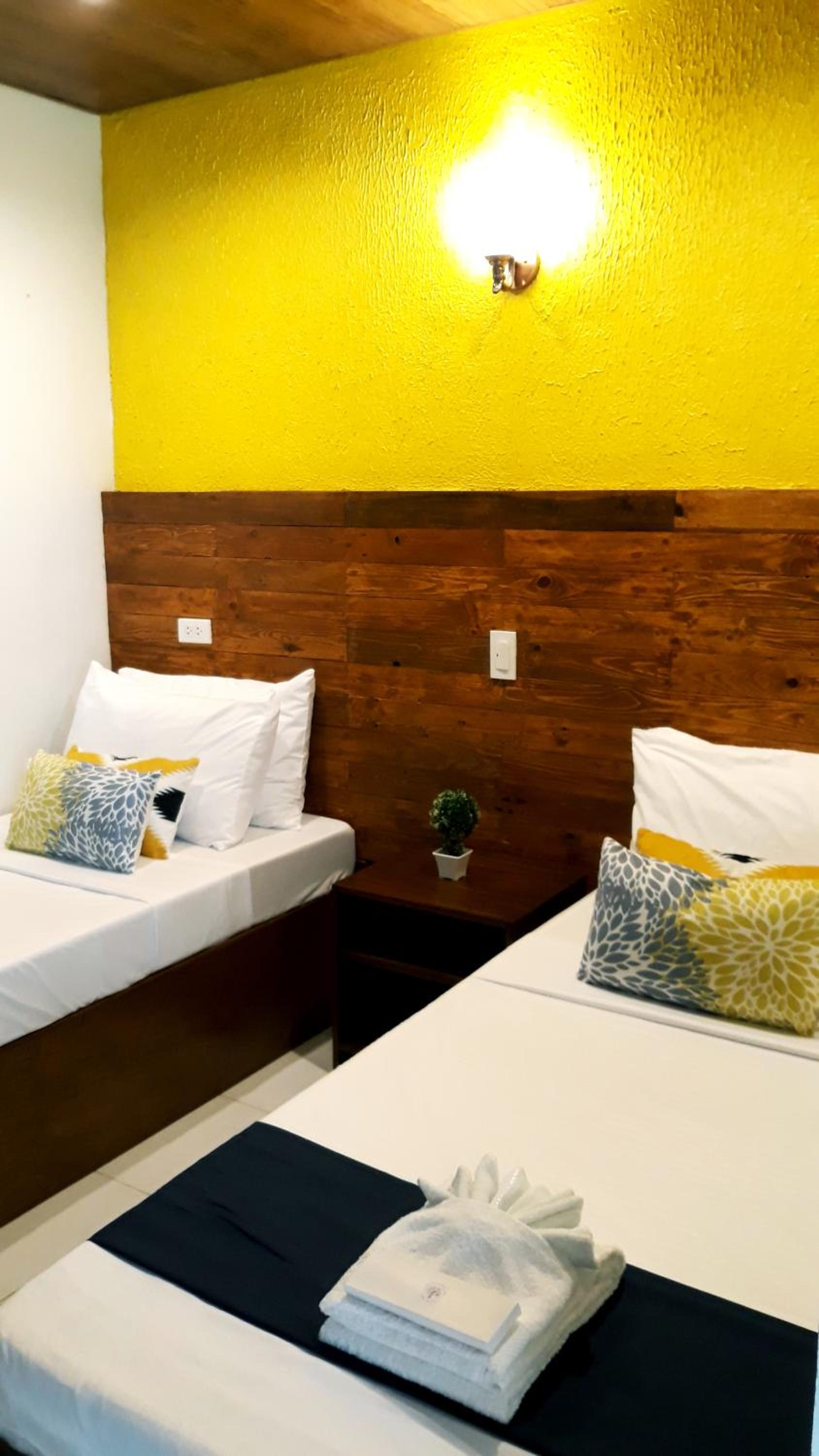 Twin Room photo 1