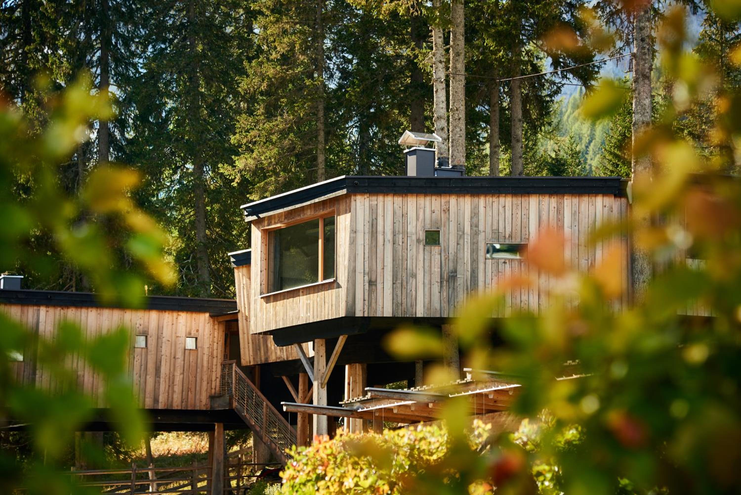Luxury Tree House - Photo 5