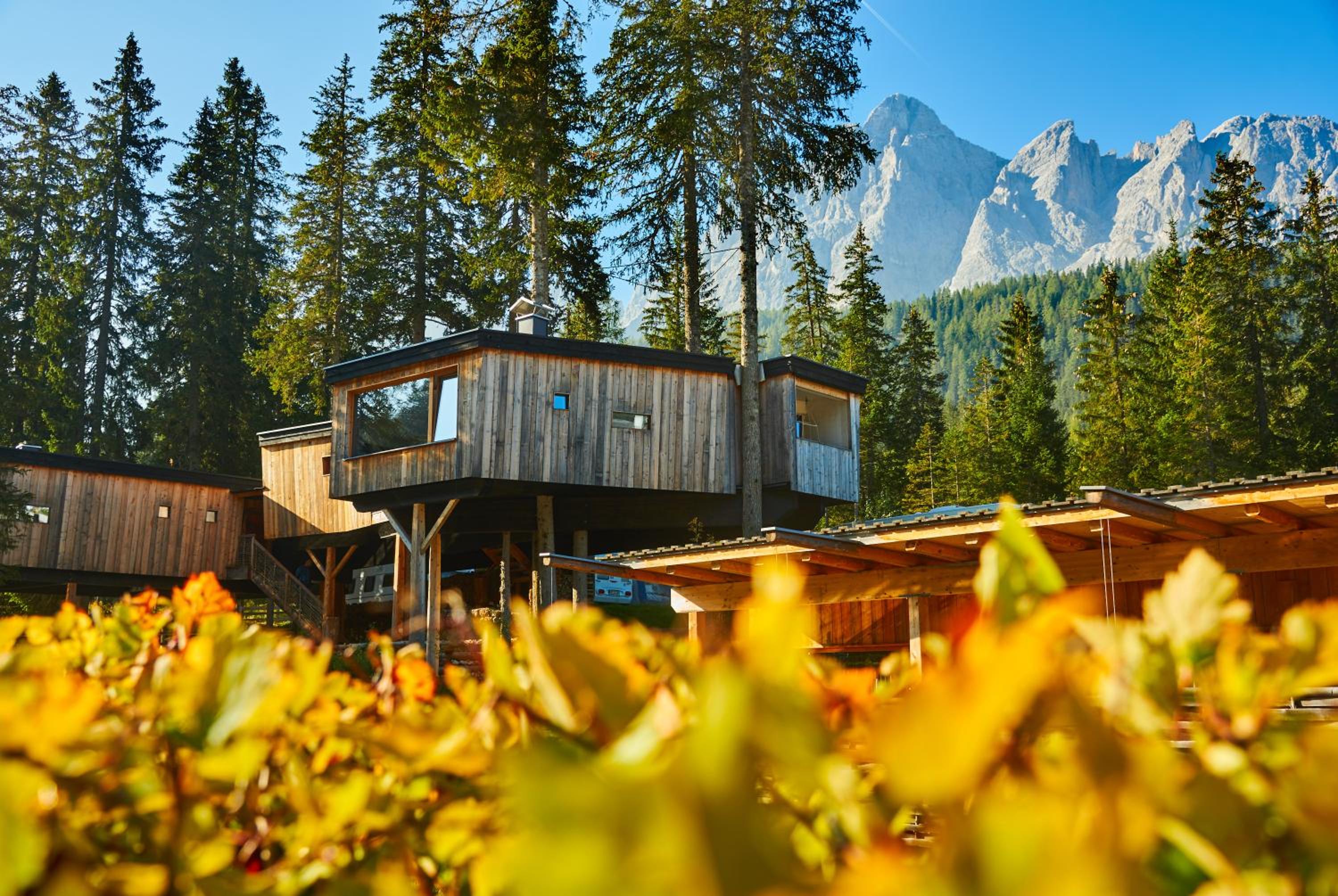 Luxury Tree House - Photo 3