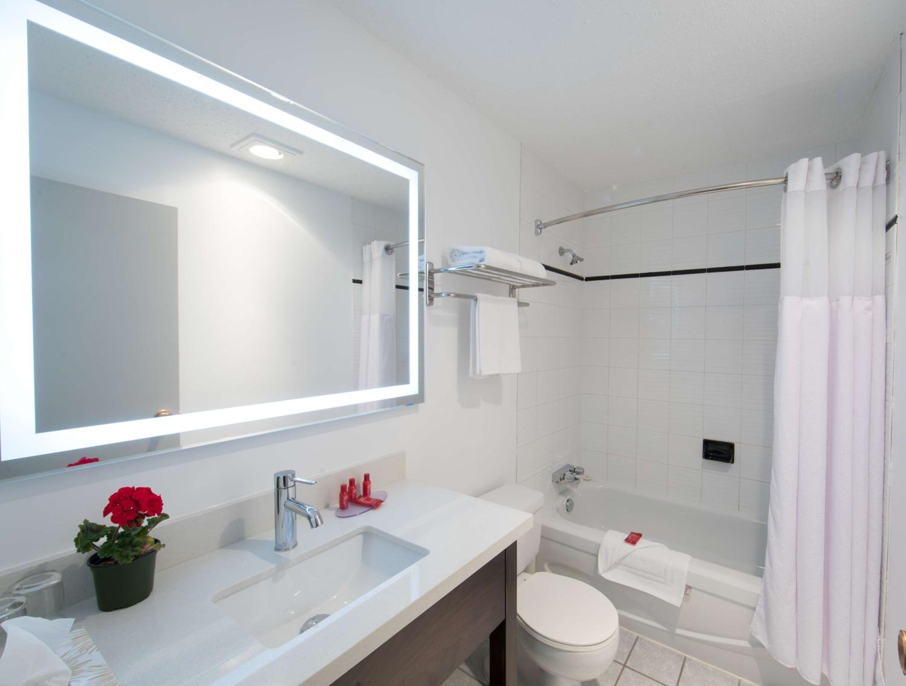 Queen Suite with Two Queen Beds and Kitchenette - Photo 10