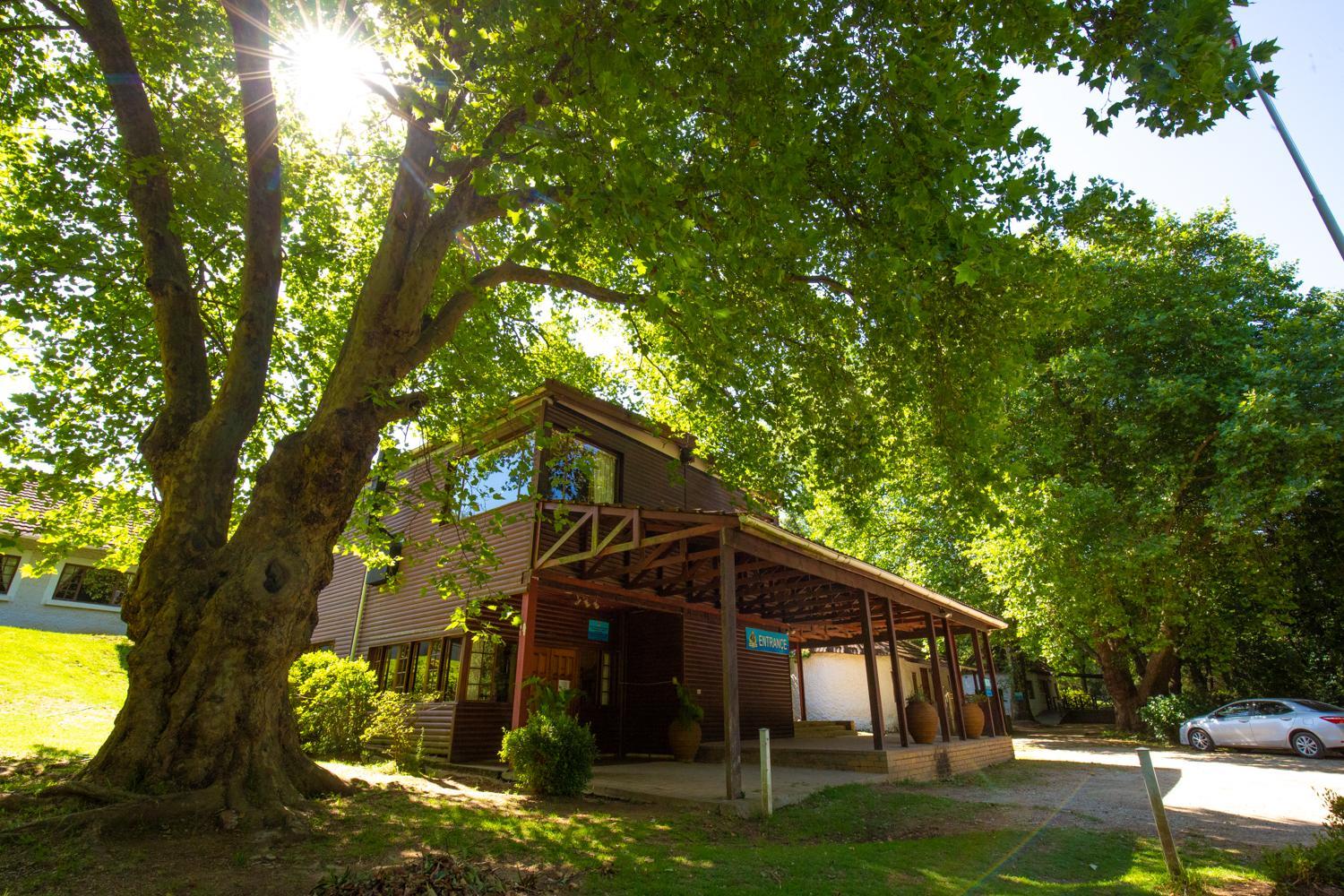 Cottage (4 Adults) - Photo 3