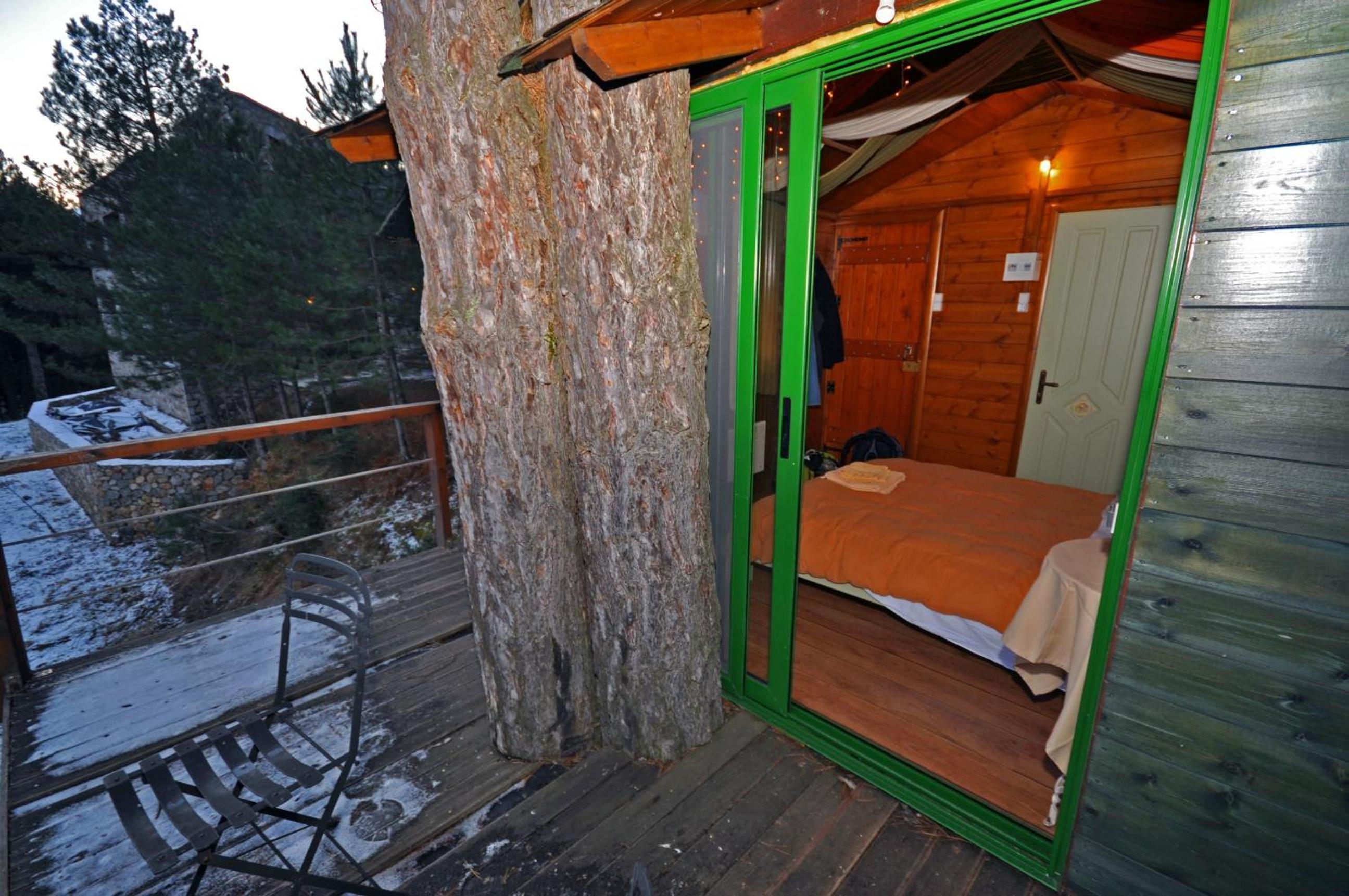 Treehouse photo 3