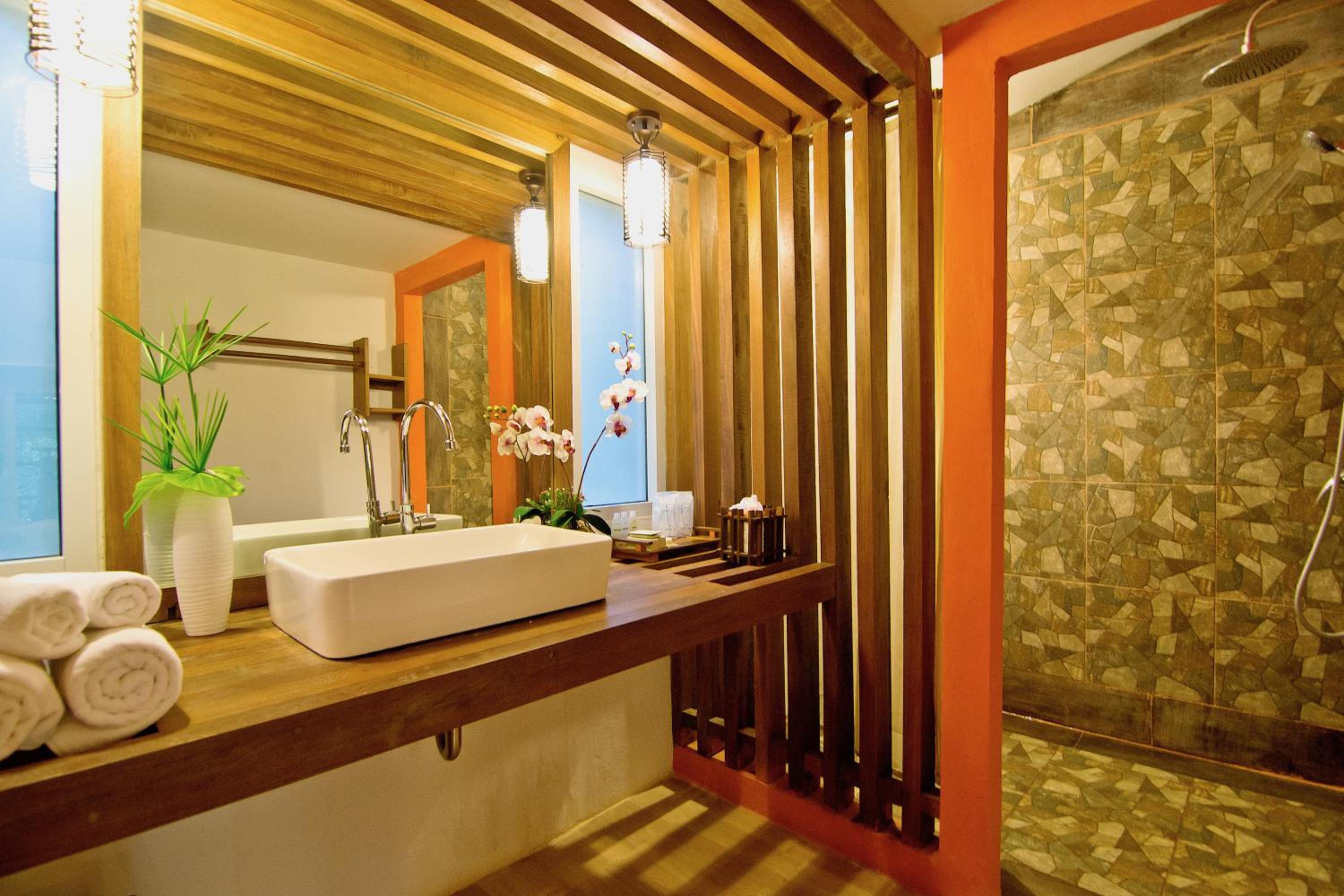 Deluxe Double or Twin Room photo 3