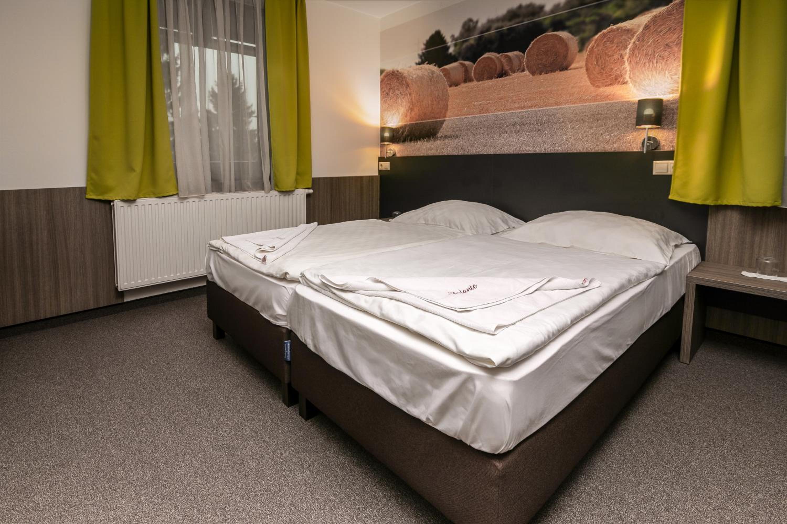 Twin Room photo 1