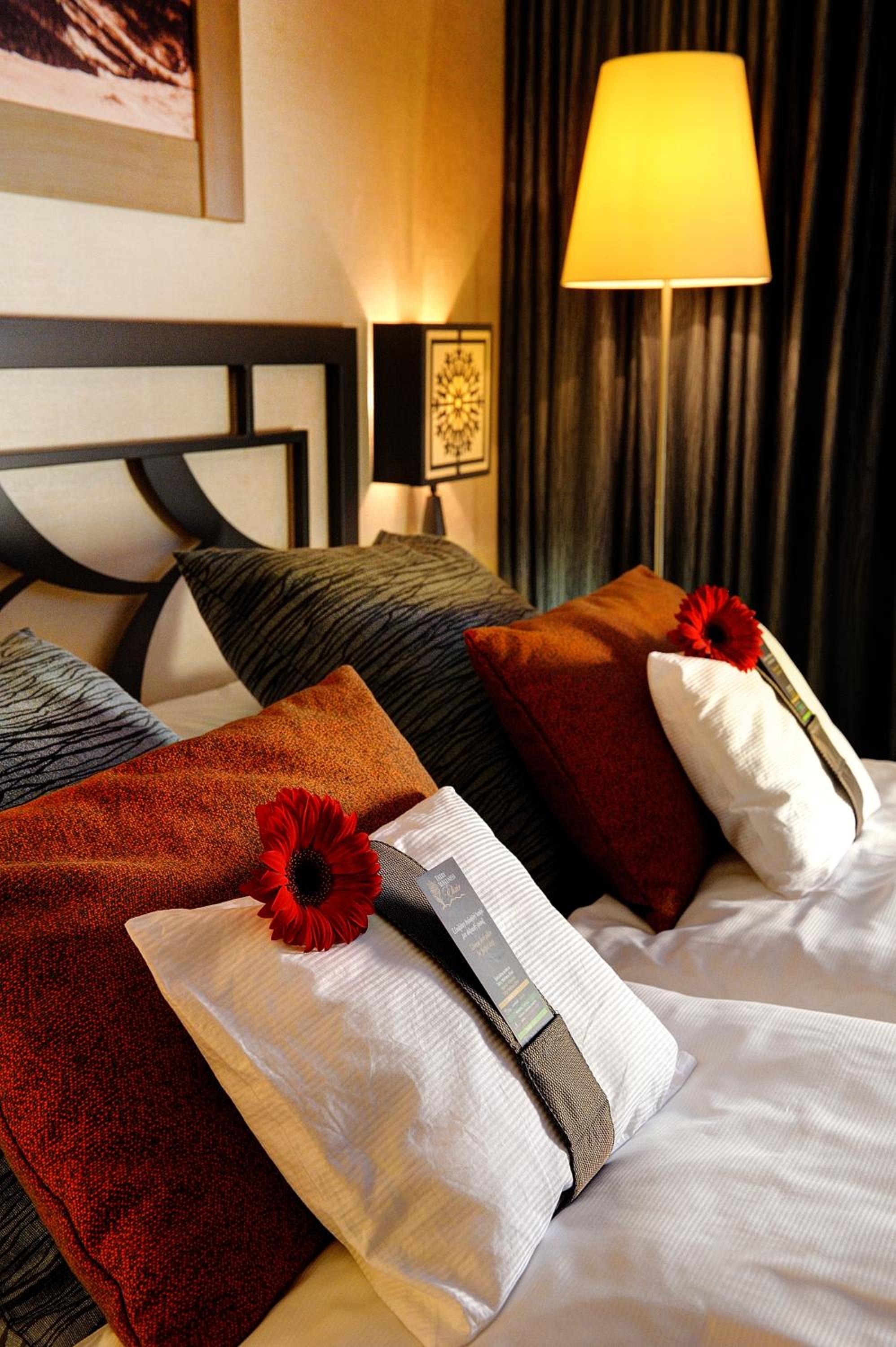 Deluxe Double or Twin Room - Photo 15