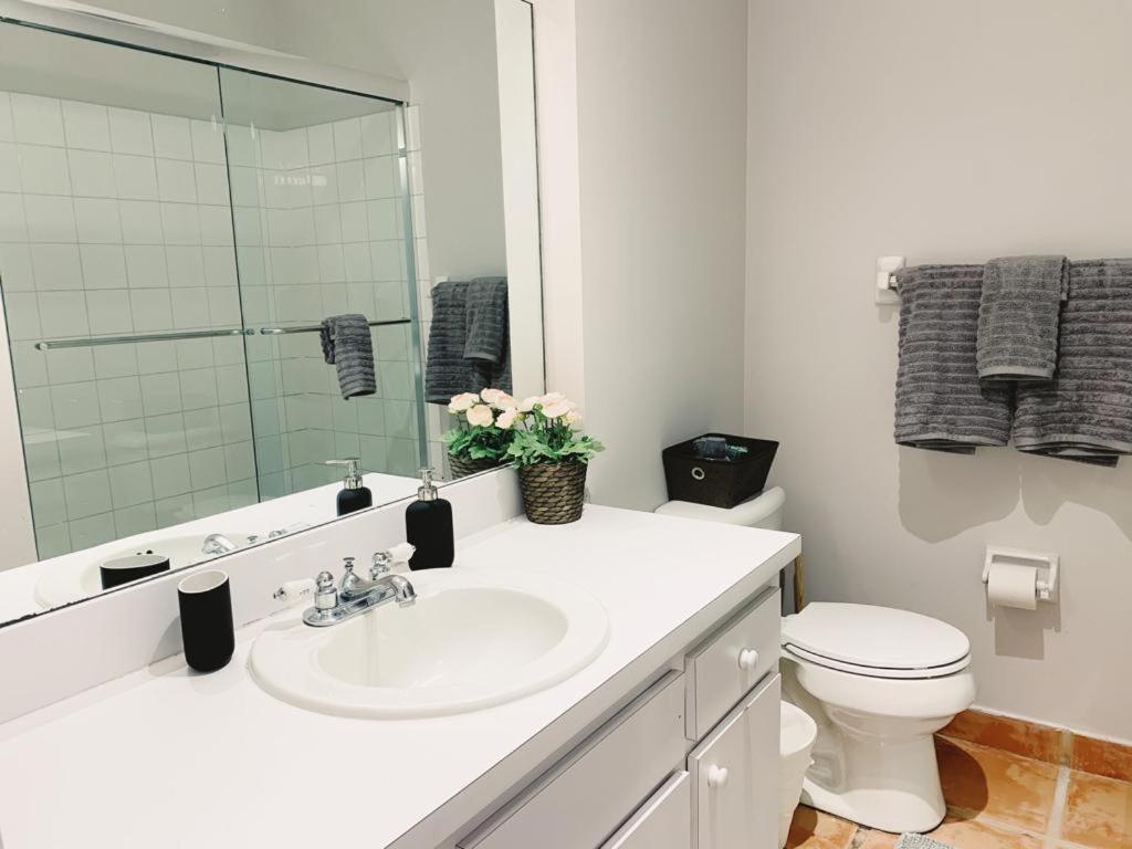 Superior Queen Studio with Kitchen and Futon photo 2