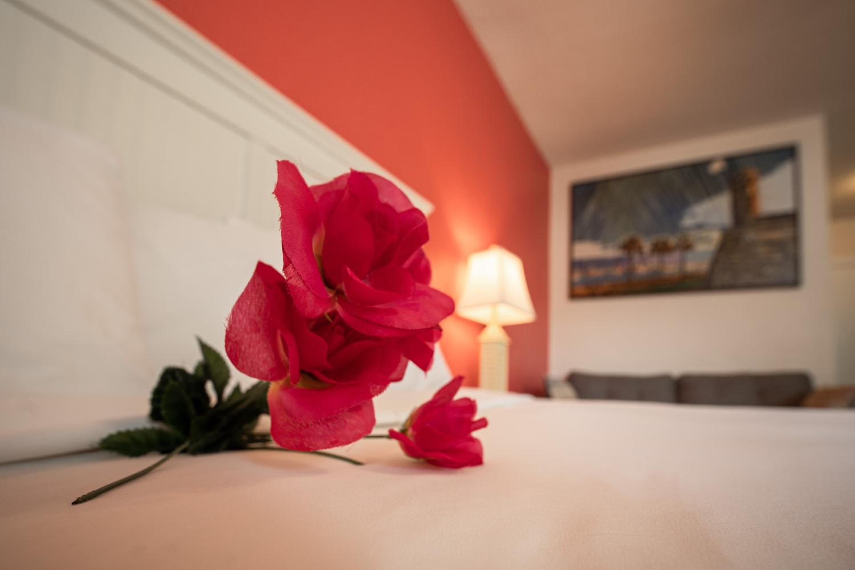 Standard Room With King Bed - Non Smoking photo 3