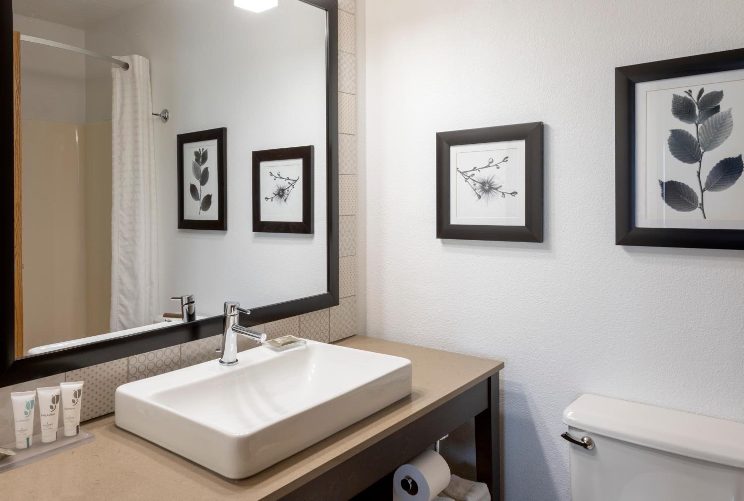 One-Bedroom King Suite - Photo 3