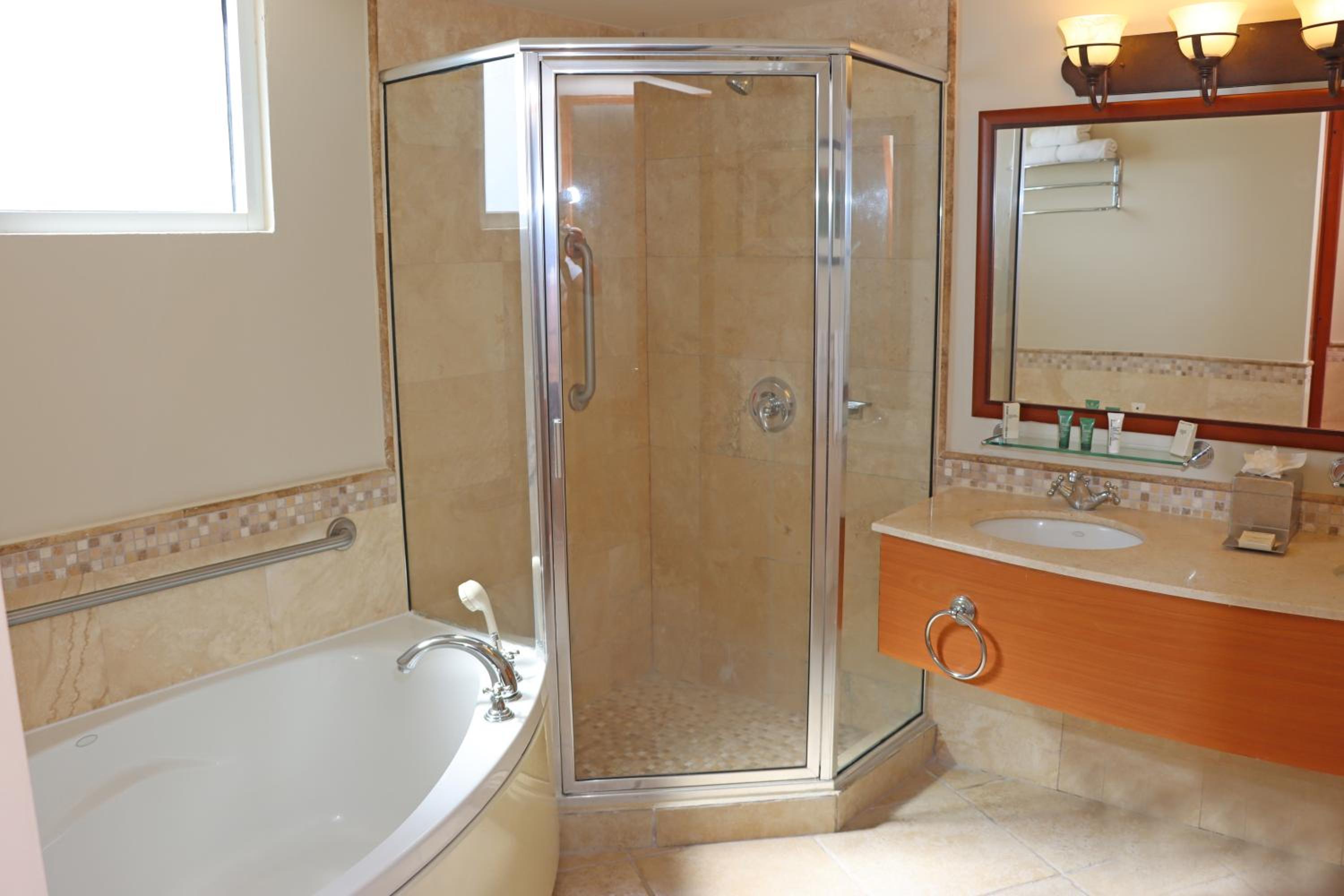 Elite Studio Suite photo 3